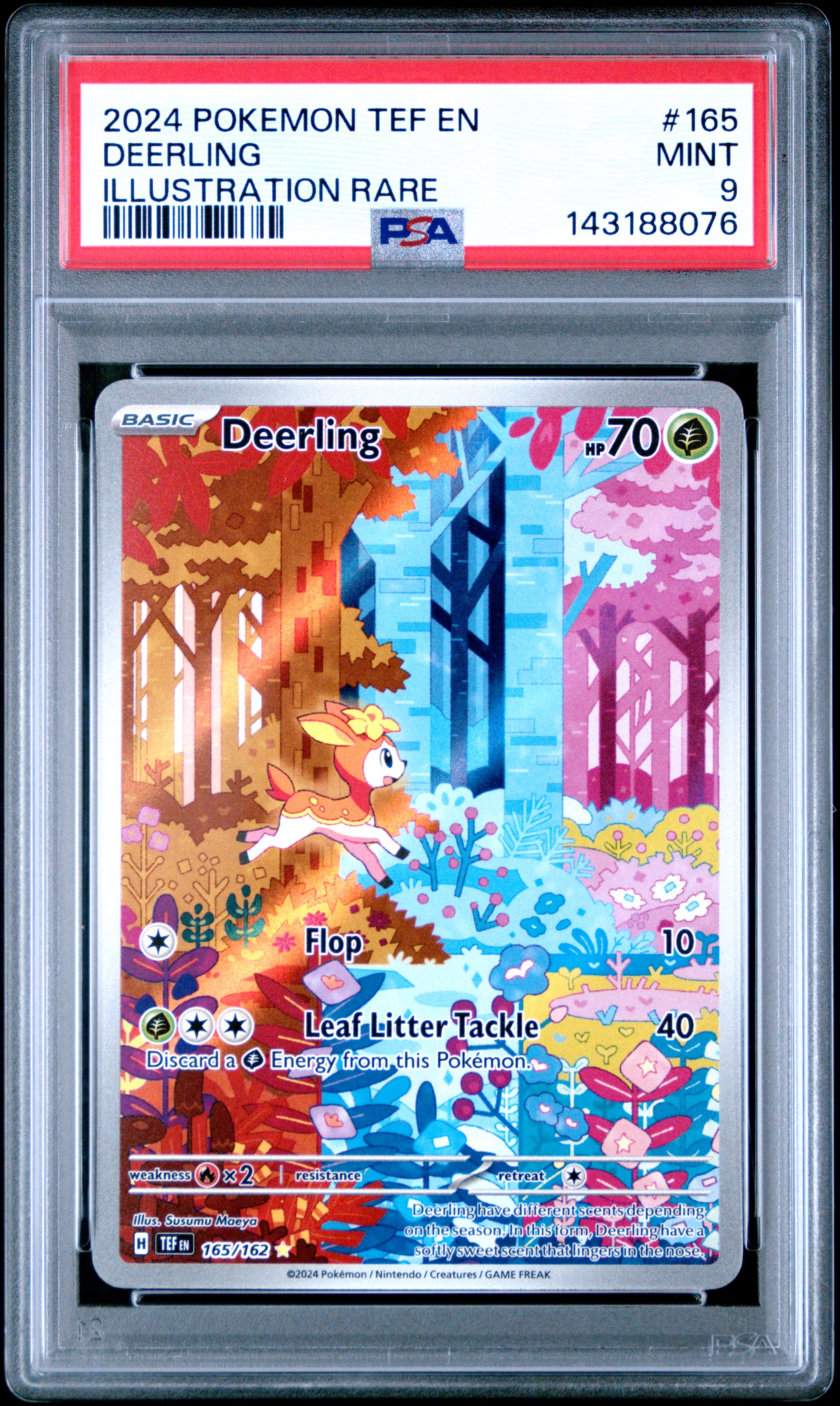 Champion City Games and Hobby's 2025 Pokemon Jtg En-Journey