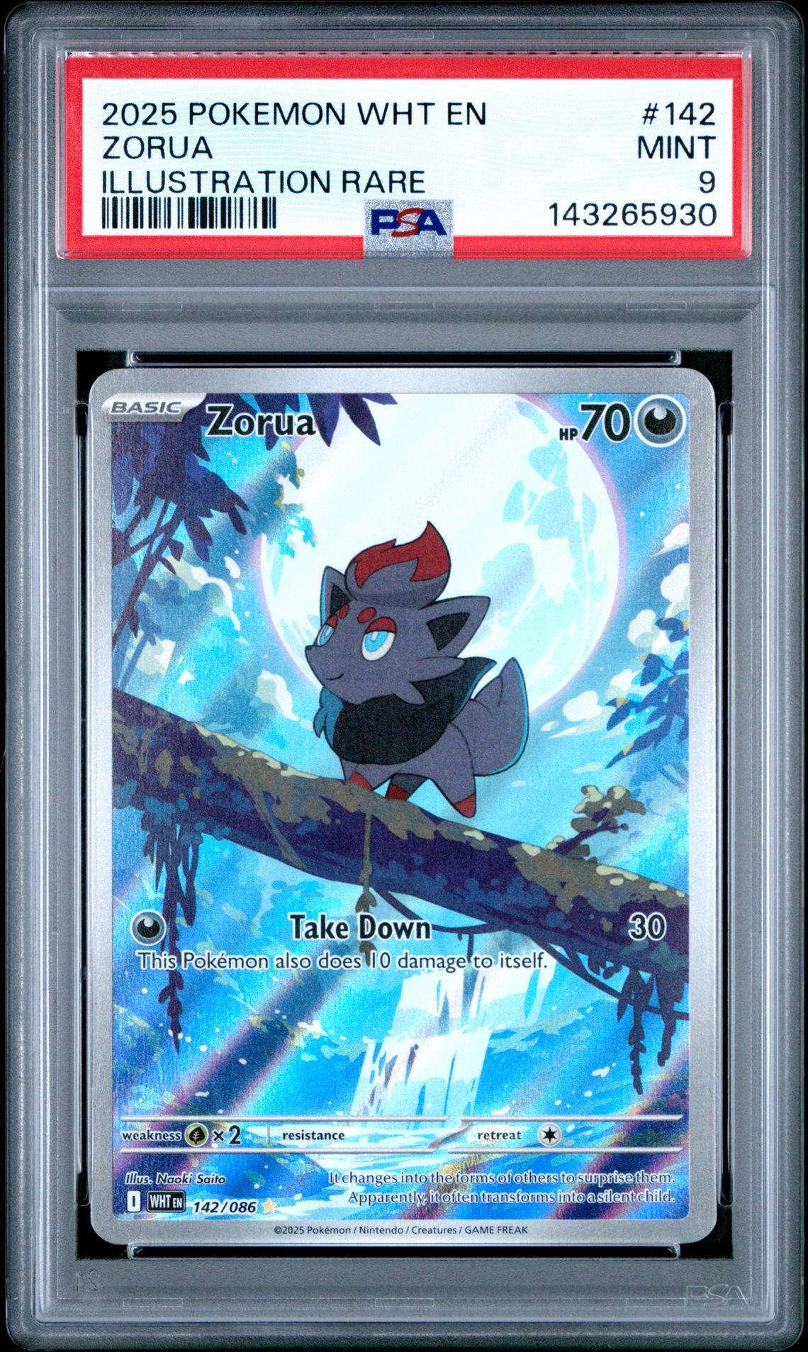 2025 Pokemon Wht En-White Flare Zorua #142 (Illustration Rare) Mint 9 front