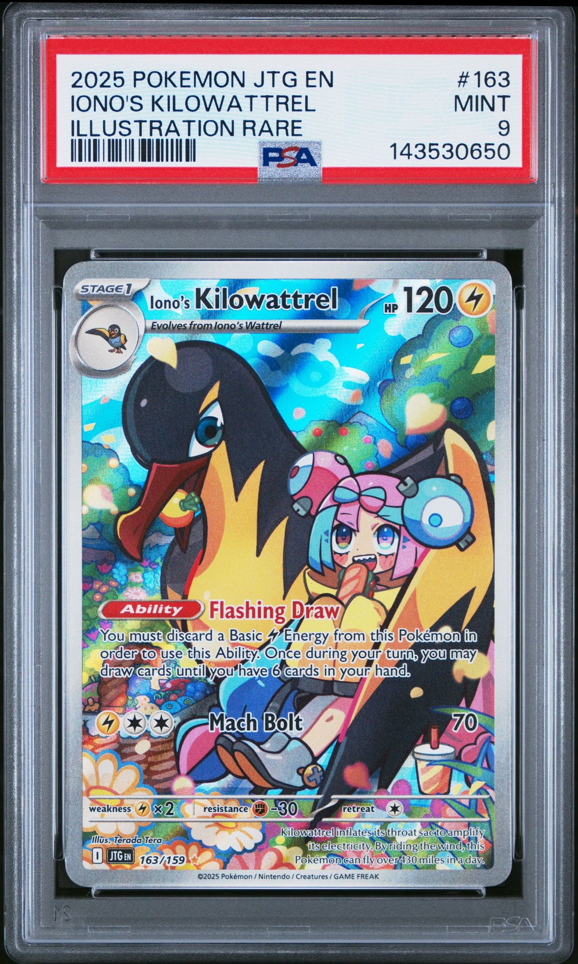 2025 Pokemon POKEMON JTG EN-JOURNEY TOGETHER ILLUSTRATION RARE #163 Iono's Kilowattrel front