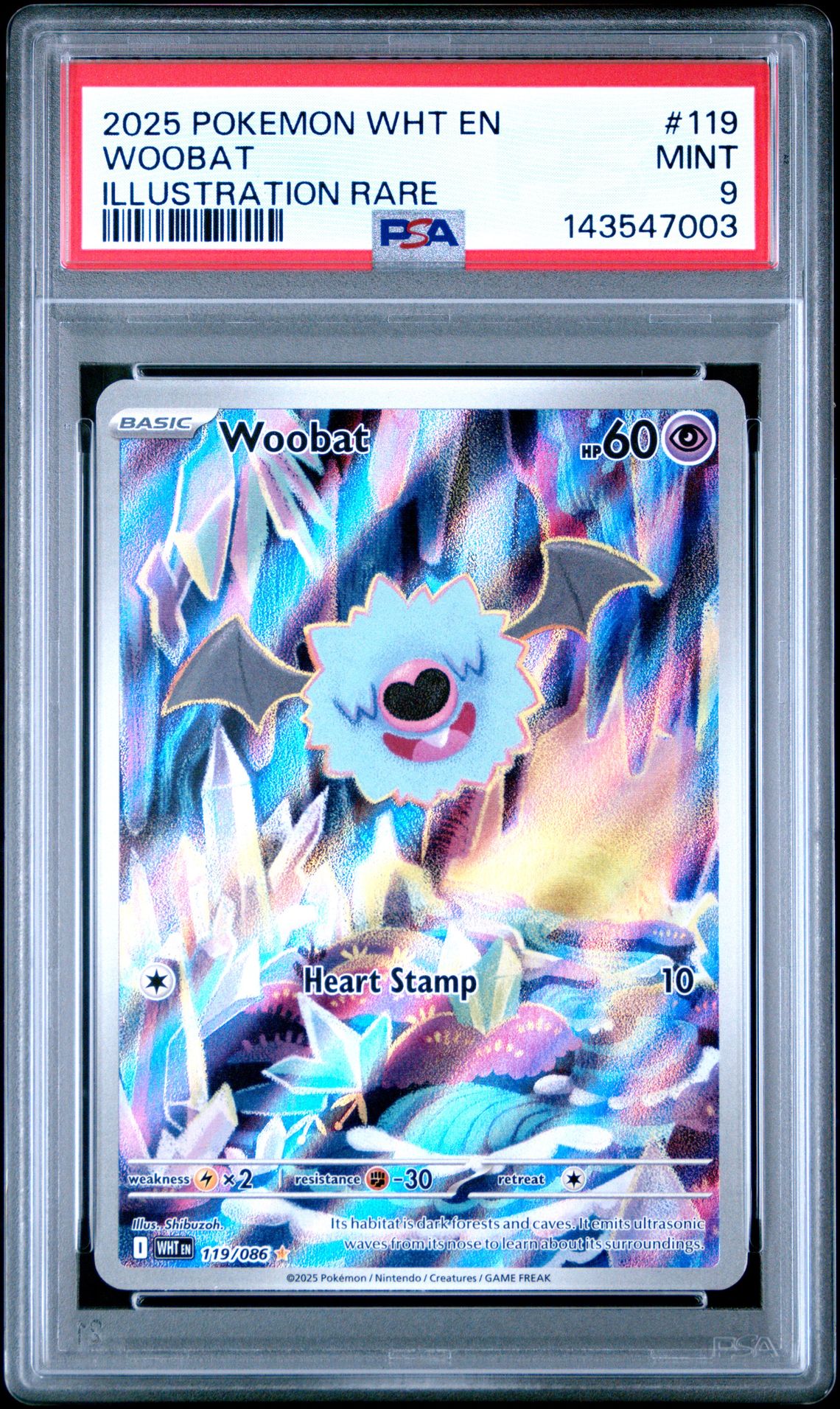 2025 Pokemon POKEMON WHT EN-WHITE FLARE ILLUSTRATION RARE #119 Woobat front