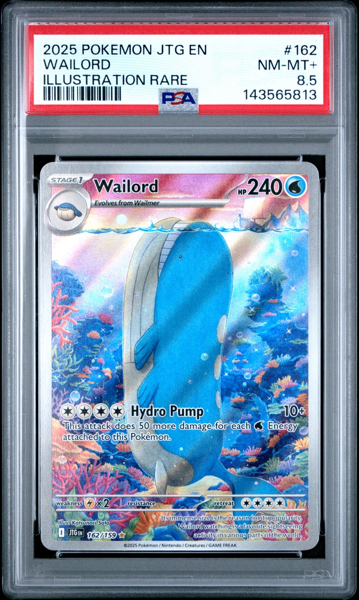 2025 Pokemon POKEMON JTG EN-JOURNEY TOGETHER ILLUSTRATION RARE #162 Wailord front