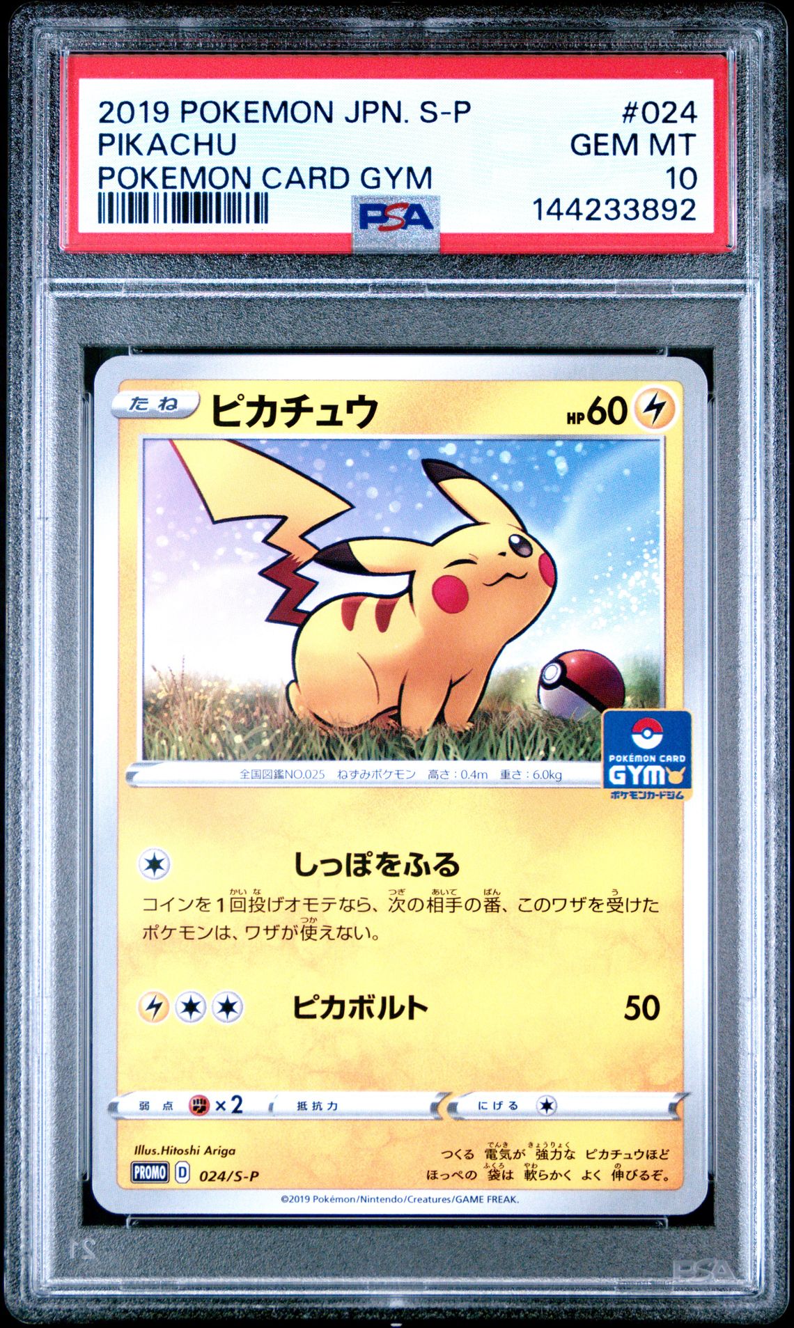 2019 Pokemon Japanese S Promo Pikachu #024 (Pokemon Card Gym) Gem Mt 10 front view - PSA graded GEM MT 10