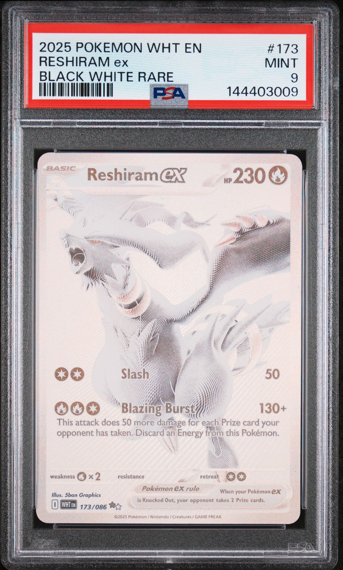 2025 Pokemon Wht En-White Flare Reshiram Ex #173 (Black White Rare) Mint 9 front