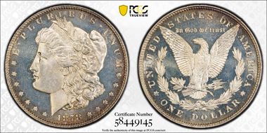 1878 8TF $1 PR64CAM