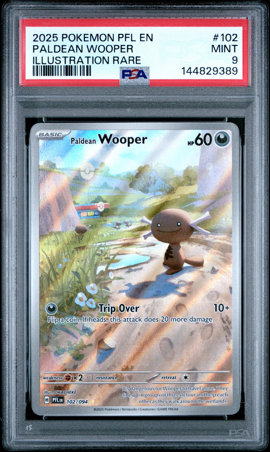 2025 Pokemon Pfl En-Phantasmal Flames Paldean Wooper #102 (Illustration Rare) Mint 9 front