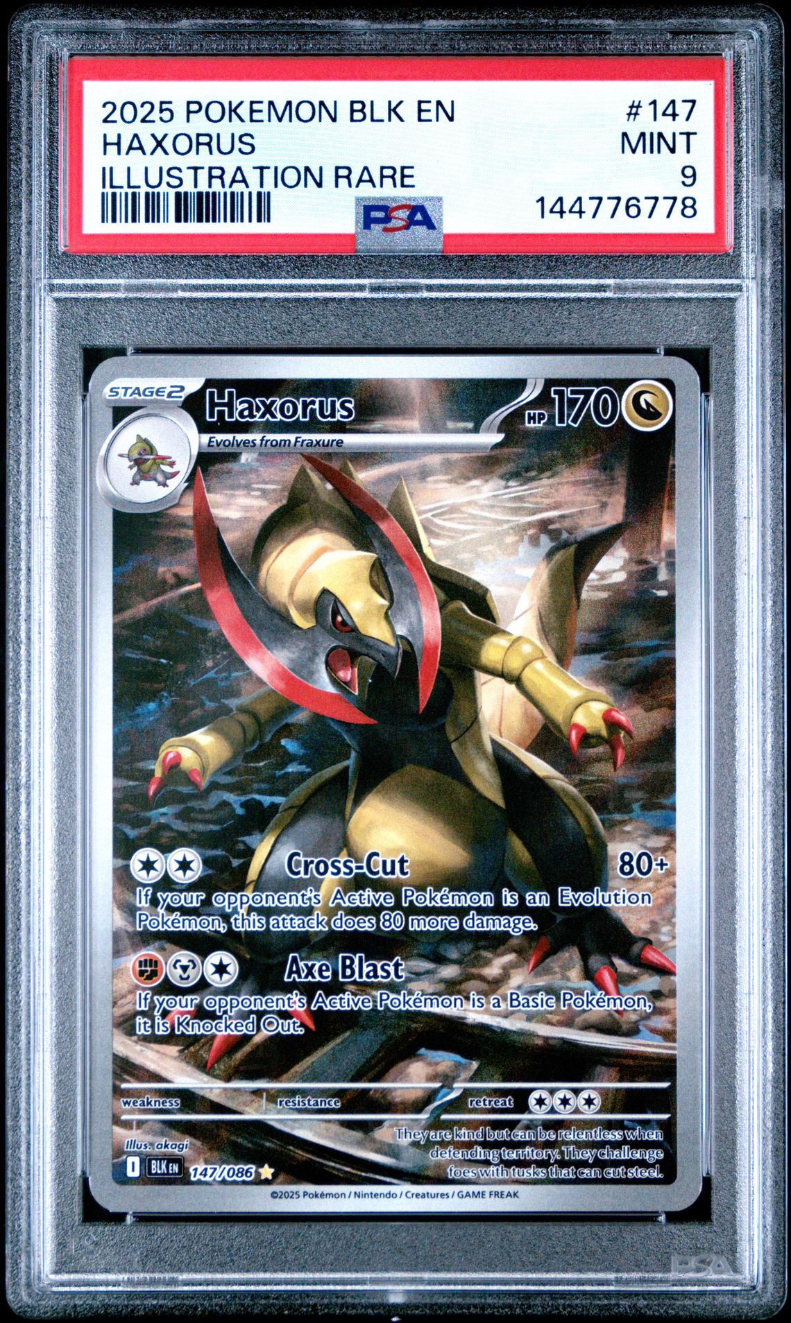 2025 Pokemon Blk En-Black Bolt Haxorus #147 (Illustration Rare) Mint 9 front