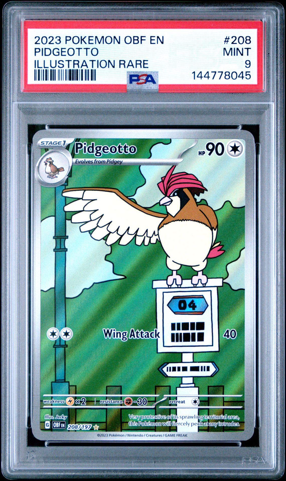 2023 Pokemon POKEMON OBF EN-OBSIDIAN FLAMES Illustration Rare #208 Pidgeotto front