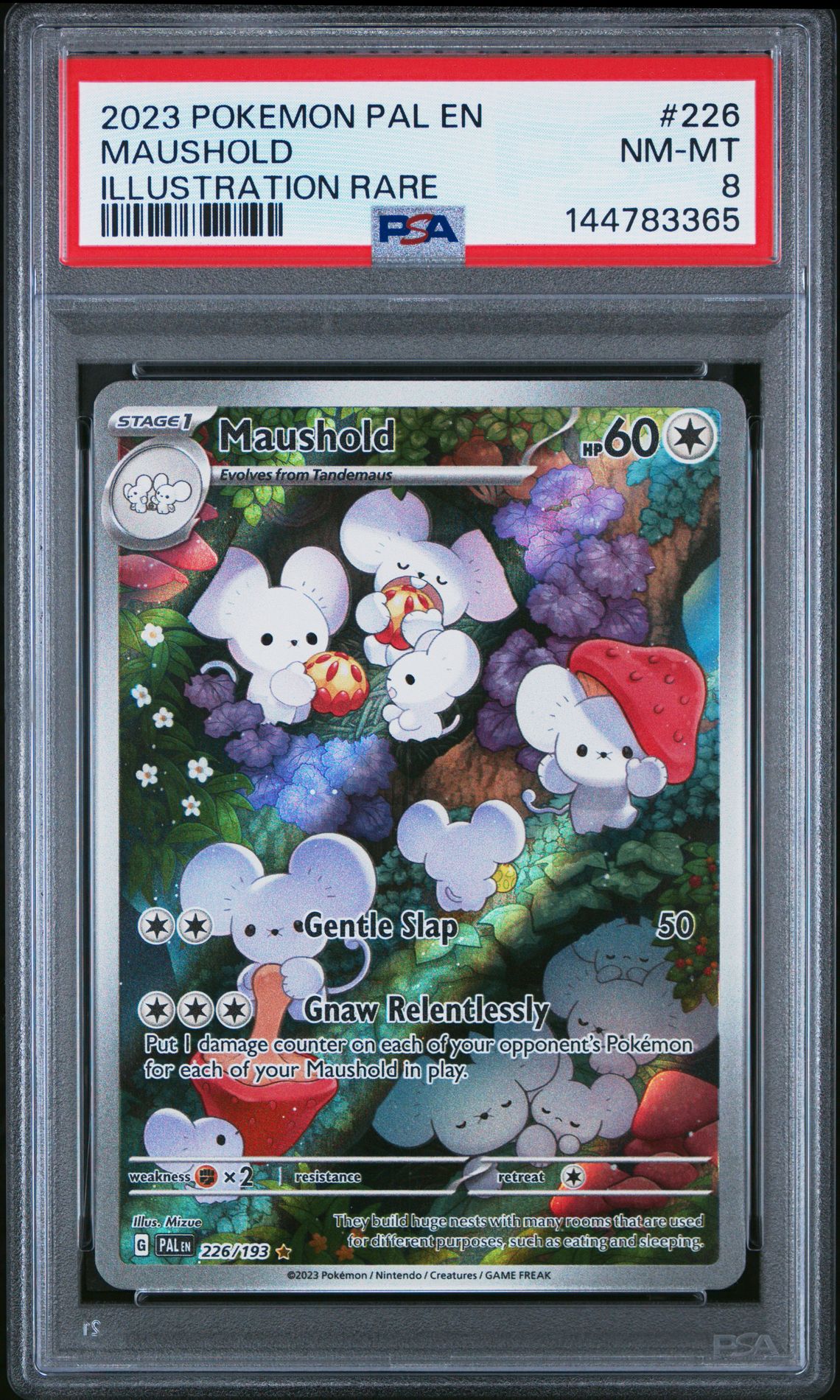 2023 Pokemon Pal En-Paldea Evolved Maushold #226 (Illustration Rare) Nm-Mt 8 front