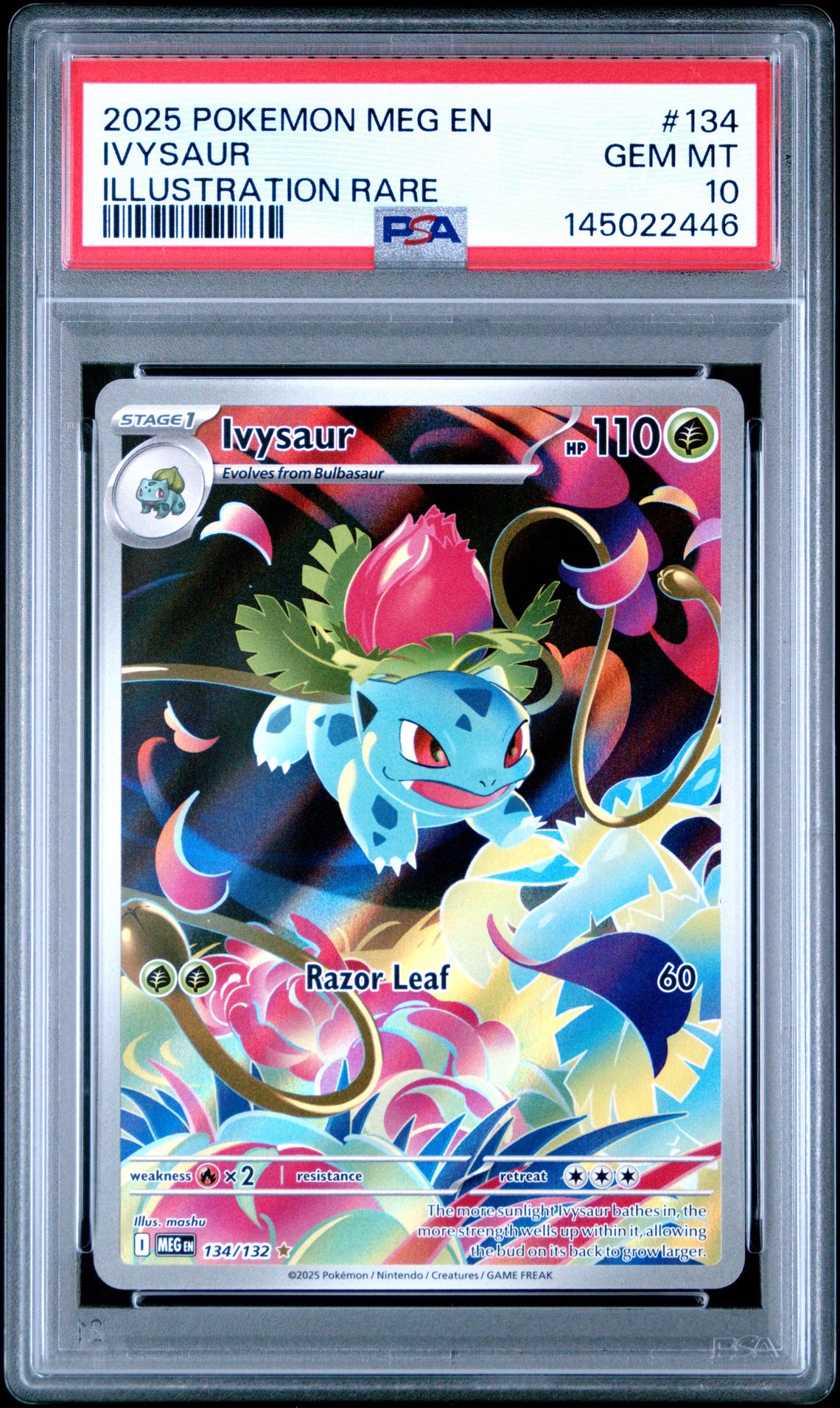 2025 Pokemon Meg En-Mega Evolution Ivysaur #134 (Illustration Rare) Gem Mt 10 front