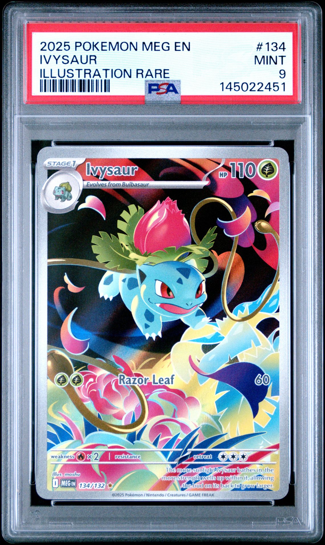 2025 Pokemon Meg En-Mega Evolution Ivysaur #134 (Illustration Rare) Mint 9 front