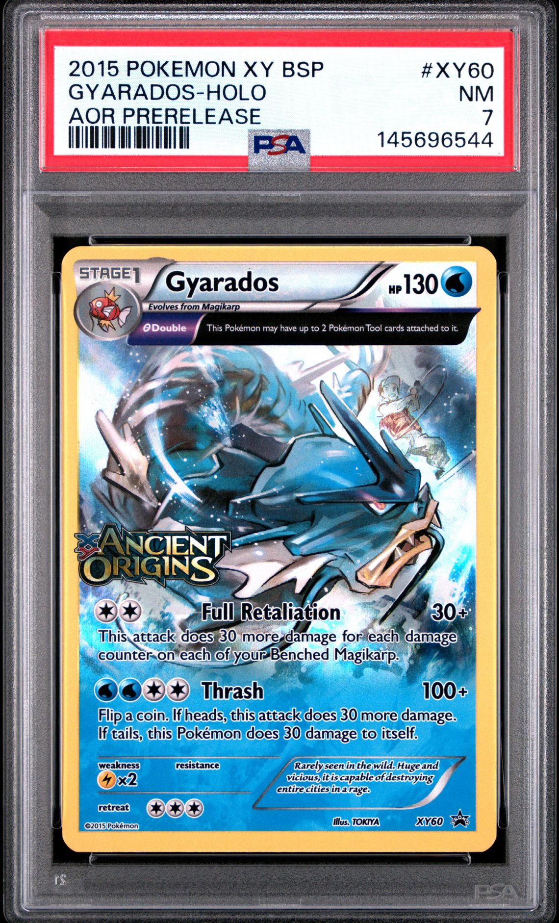 2015 Pokemon Xy Black Star Promos Gyarados-Holo #Xy60 (Aor Prerelease) Nm 7 front