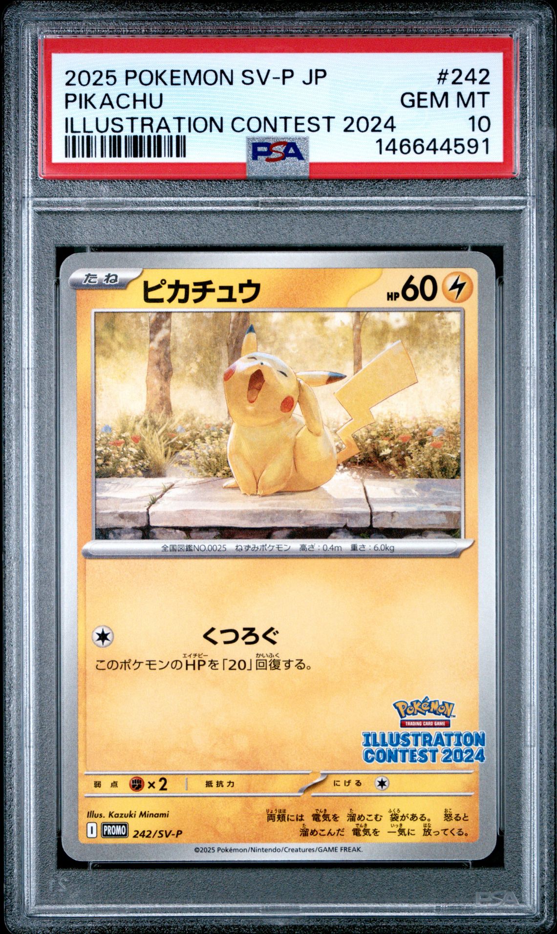 2025 Pokemon POKEMON JAPANESE SV-P PROMO ILLUSTRATION CONTEST 2024 #242 Pikachu front