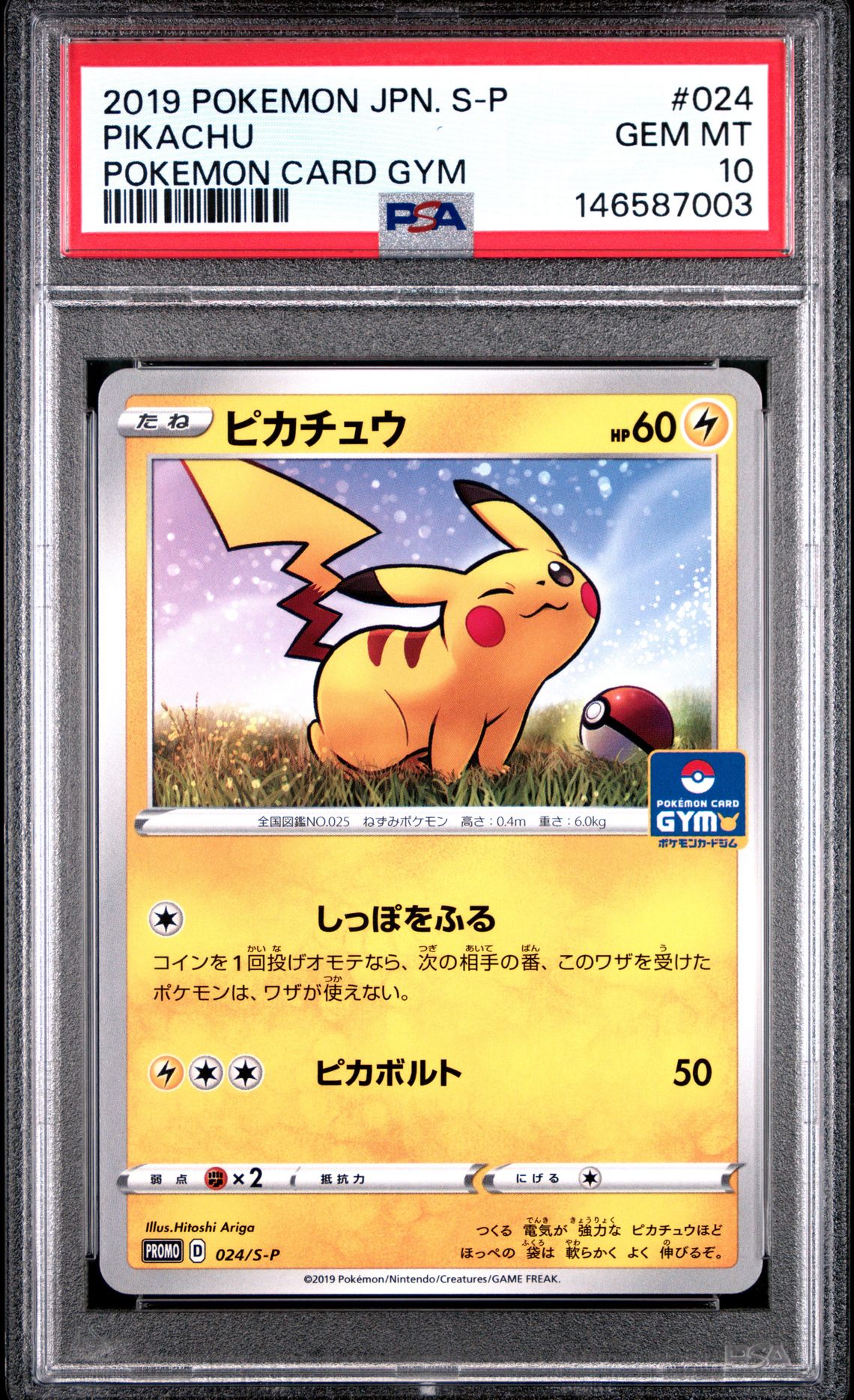 2019 Pokemon Japanese S Promo Pikachu #024 (Pokemon Card Gym) Gem Mt 10 front view - PSA graded GEM MT 10