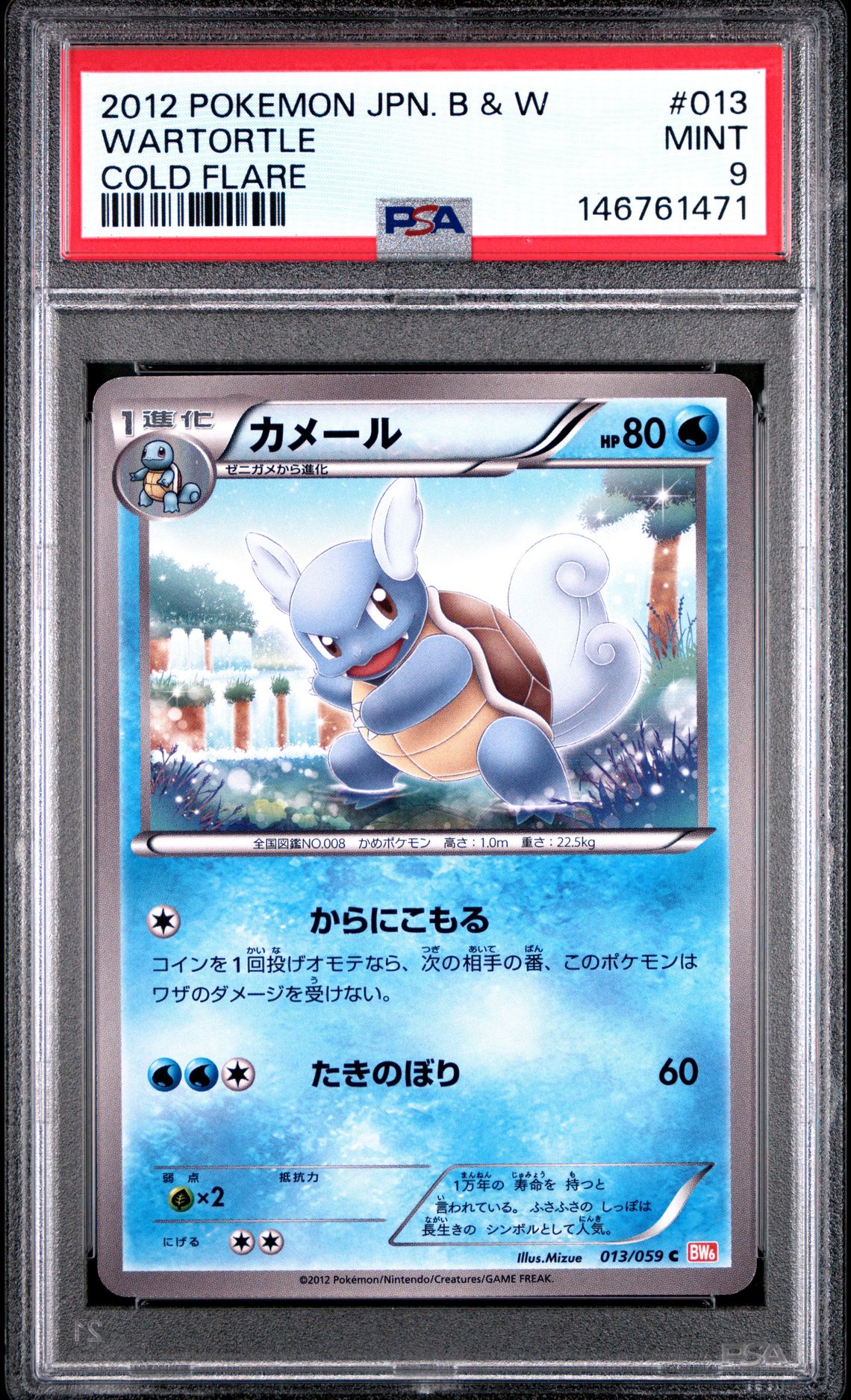 2012 Pokemon POKEMON JAPANESE BLACK & WHITE COLD FLARE #013 Wartortle front