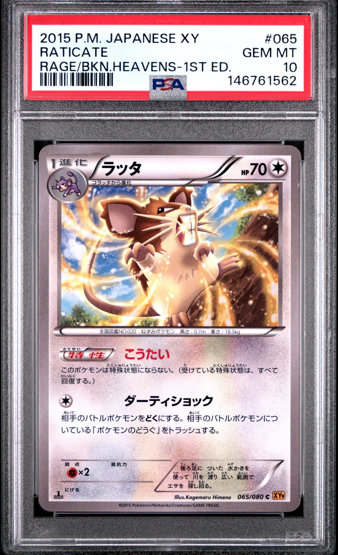 2015 Pokemon POKEMON JAPANESE XY RAGE OF THE BROKEN HEAVENS RAGE/BKN.HEAVENS-1ST ED. #065 Raticate front
