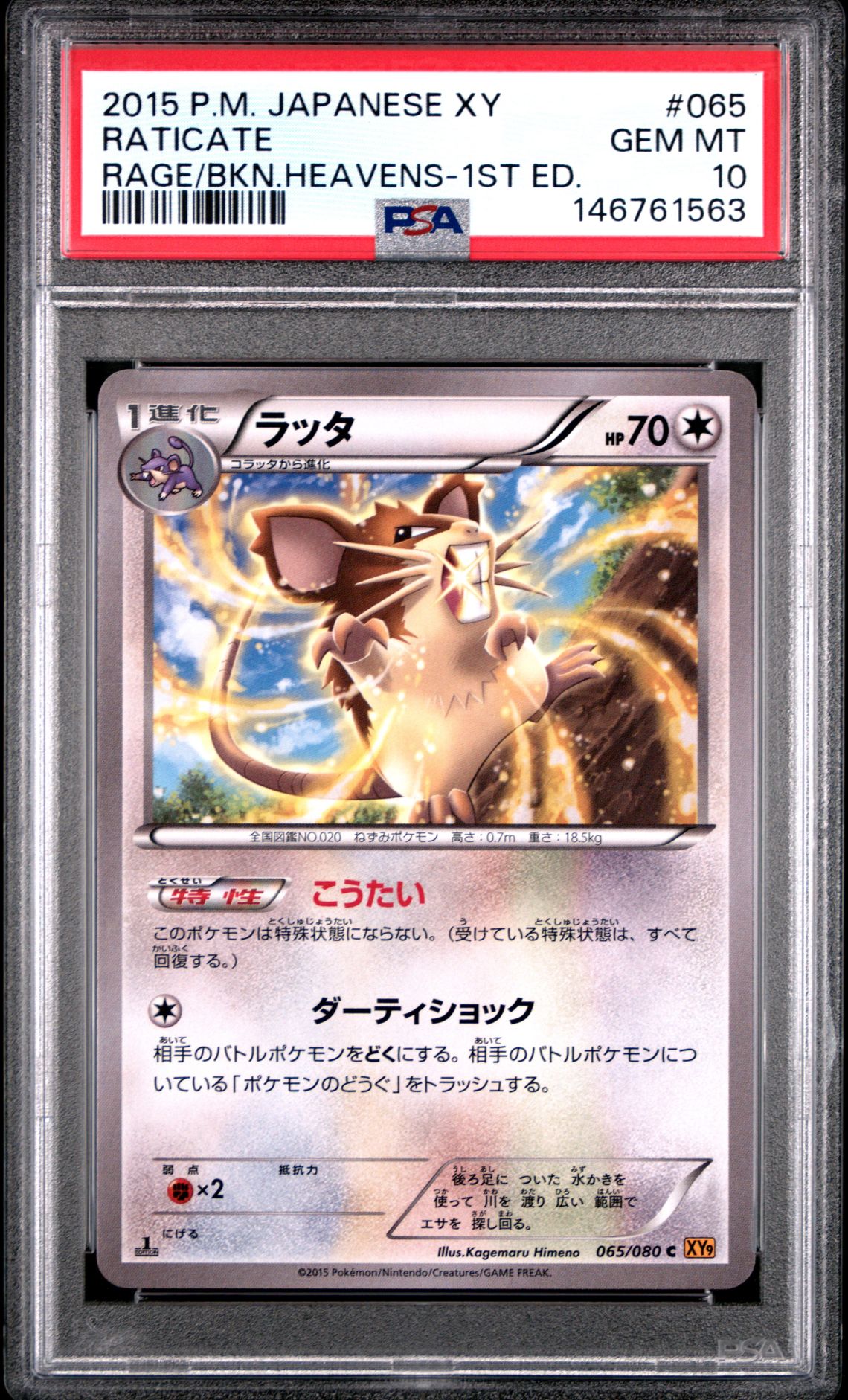 2015 Pokemon POKEMON JAPANESE XY RAGE OF THE BROKEN HEAVENS RAGE/BKN.HEAVENS-1ST ED. #065 Raticate front