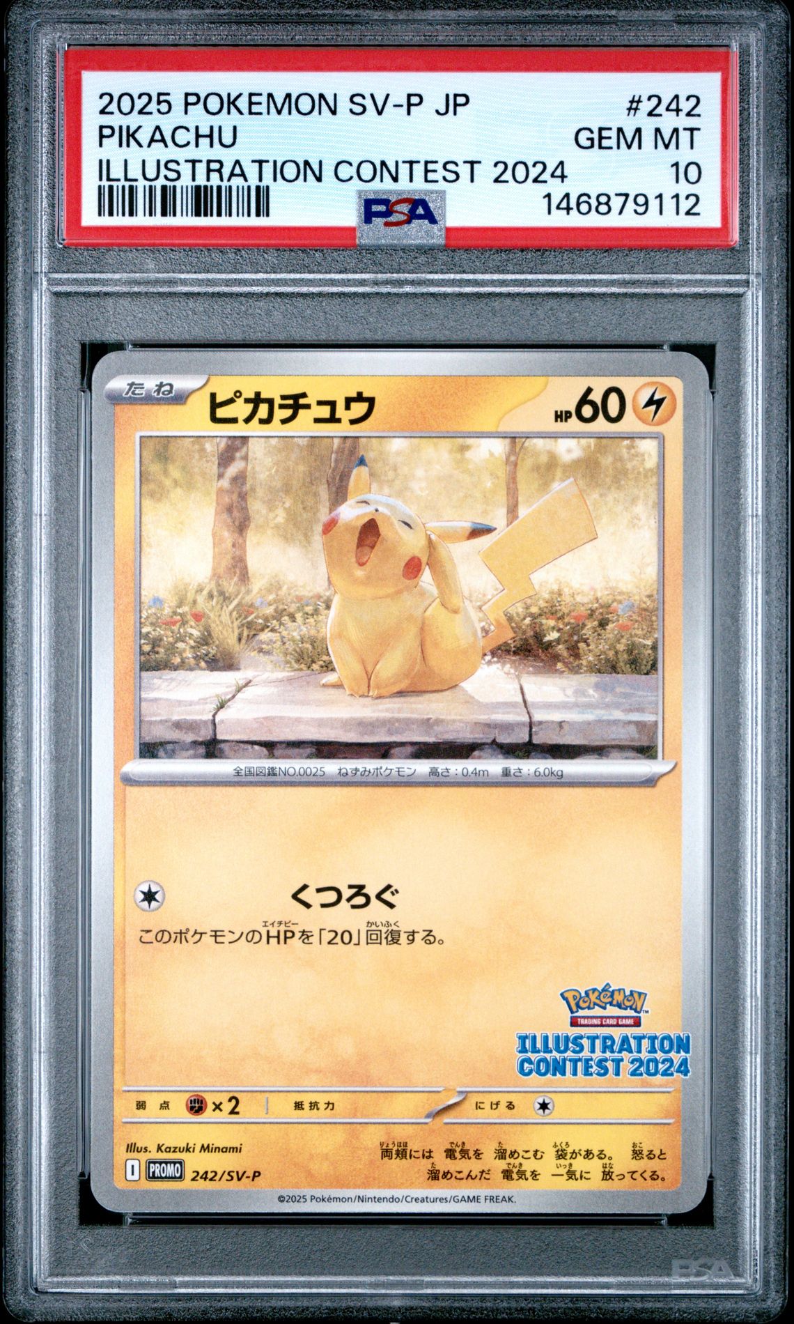 2025 Pokemon POKEMON JAPANESE SV-P PROMO ILLUSTRATION CONTEST 2024 #242 Pikachu front