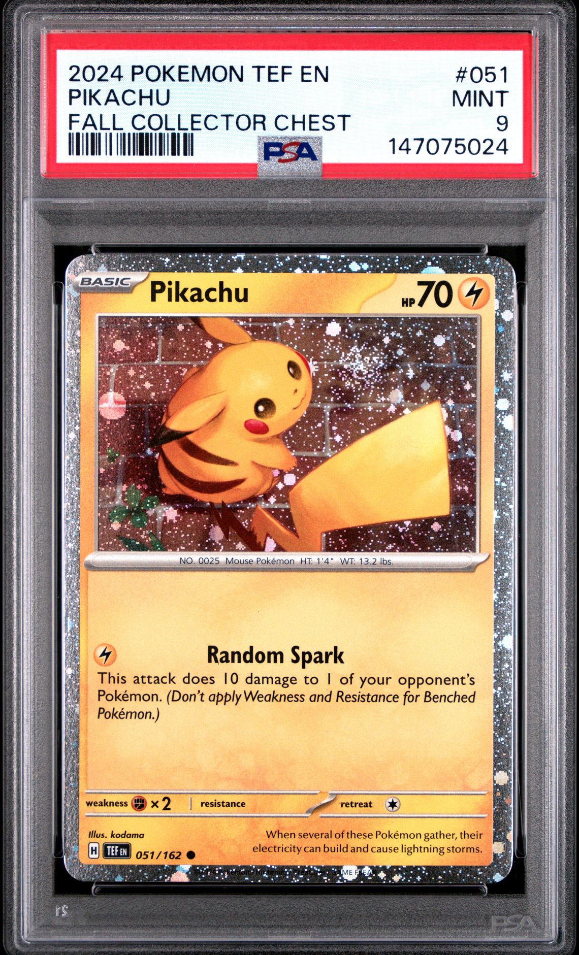 2024 Pokemon POKEMON TEF EN-TEMPORAL FORCES FALL COLLECTOR CHEST #051 Pikachu front