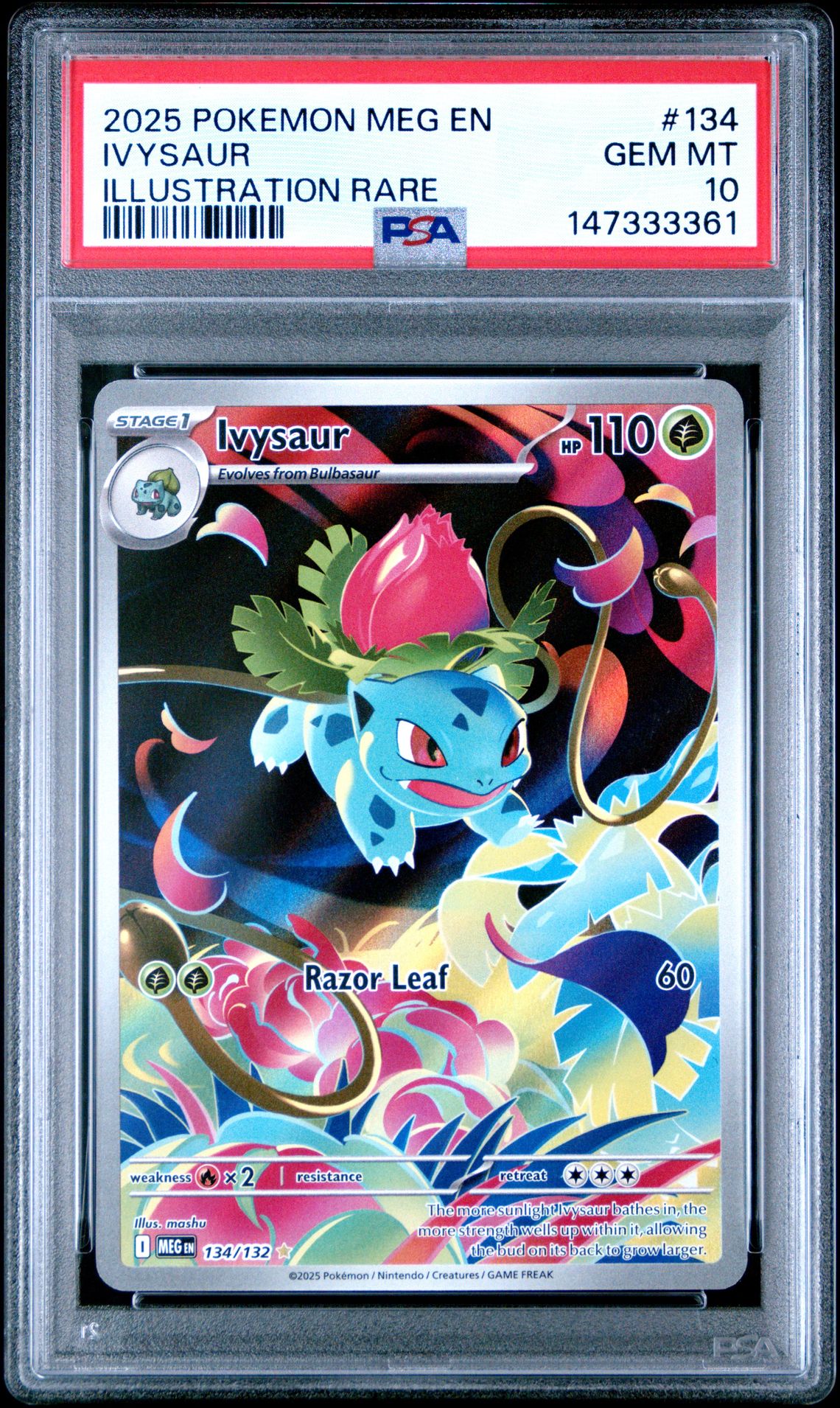 2025 Pokemon Meg En-Mega Evolution Ivysaur #134 (Illustration Rare) Gem Mt 10 front