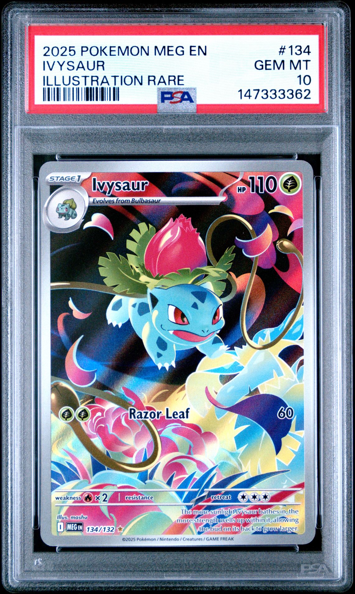 2025 Pokemon Meg En-Mega Evolution Ivysaur #134 (Illustration Rare) Gem Mt 10 front