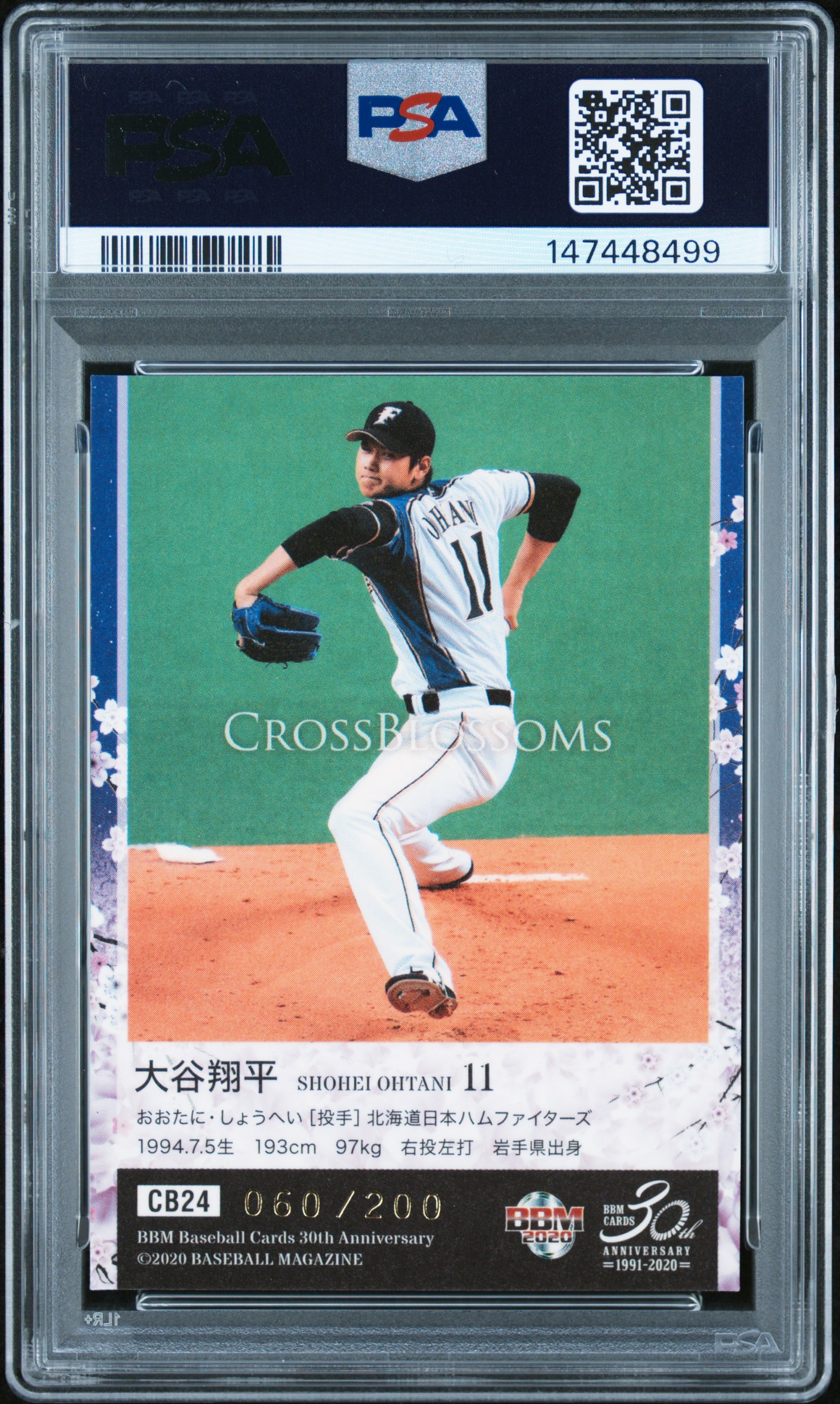 0 BBM 30th ⁄ Anniversary - Blossoms Cross ミントモール MINT Bbm 