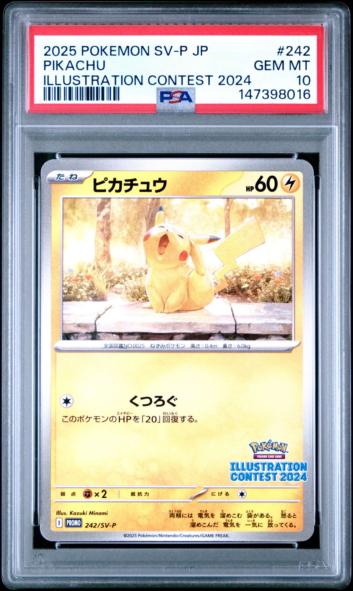 2025 Pokemon POKEMON JAPANESE SV-P PROMO ILLUSTRATION CONTEST 2024 #242 Pikachu front