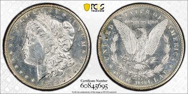 1878-CC $1 VAM 24, Doubled Leaves N1