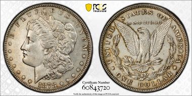 1878 8TF $1 VAM 14.14, Eye Chip AU55