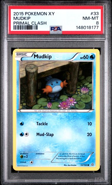 2015 Pokemon XY Primal Clash #33 Mudkip front