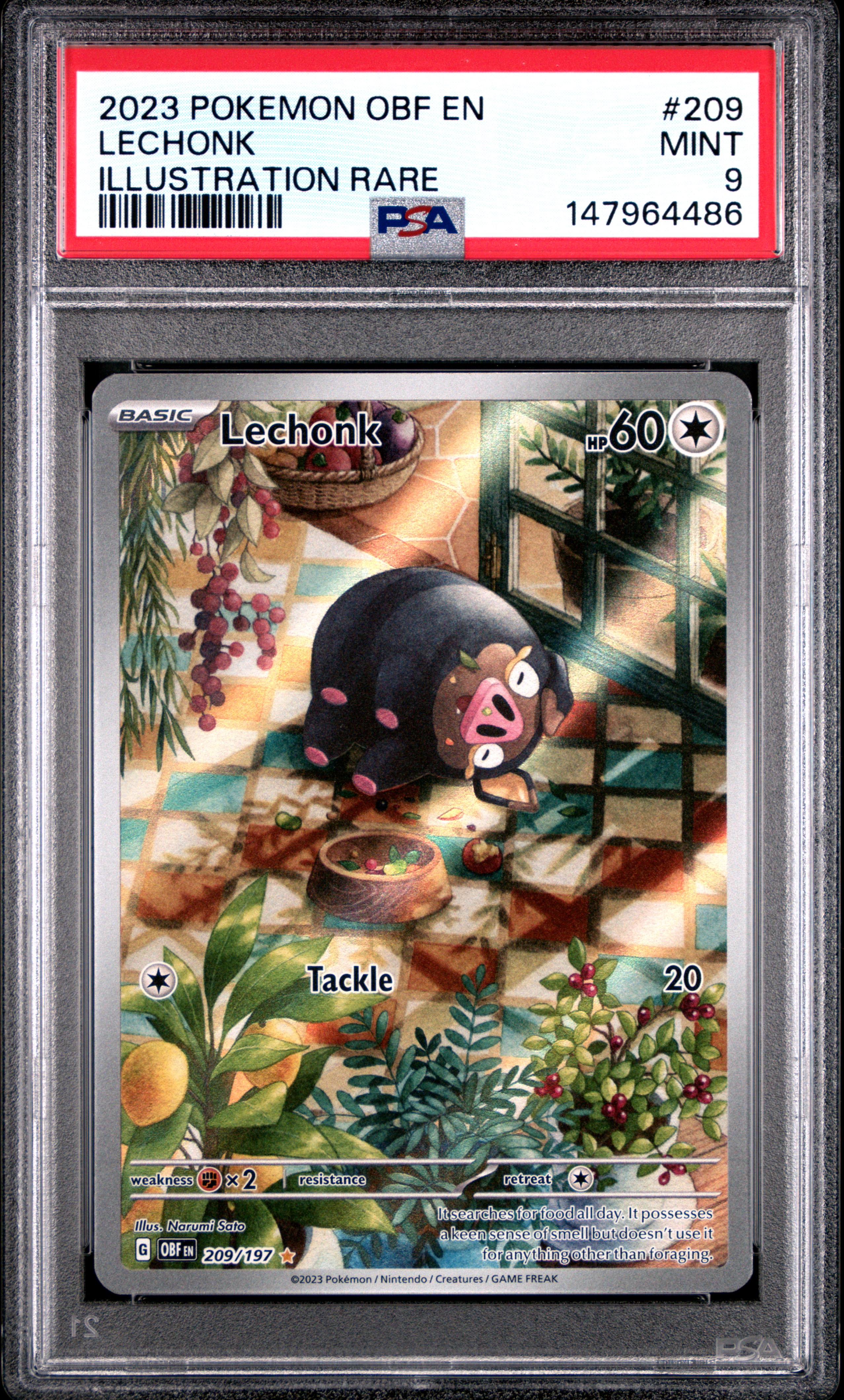 2023 #209 Lechonk PSA 9 Obf EN-Obsidian Flames Pokemon