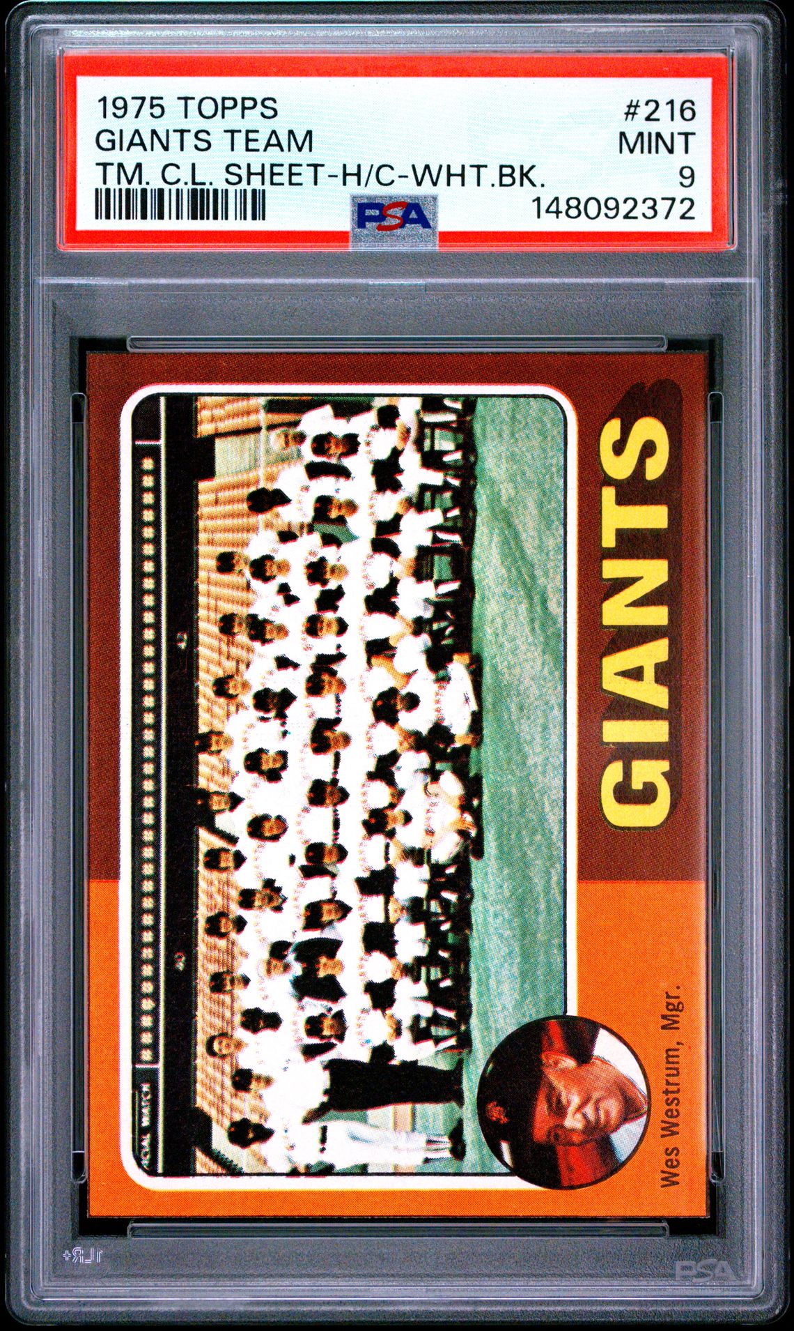 1975 Topps TOPPS TEAM CHECKLIST SHEET-HAND-CUT TM. C.L. SHEET-H/C-WHT.BK. #216 Giants Team front