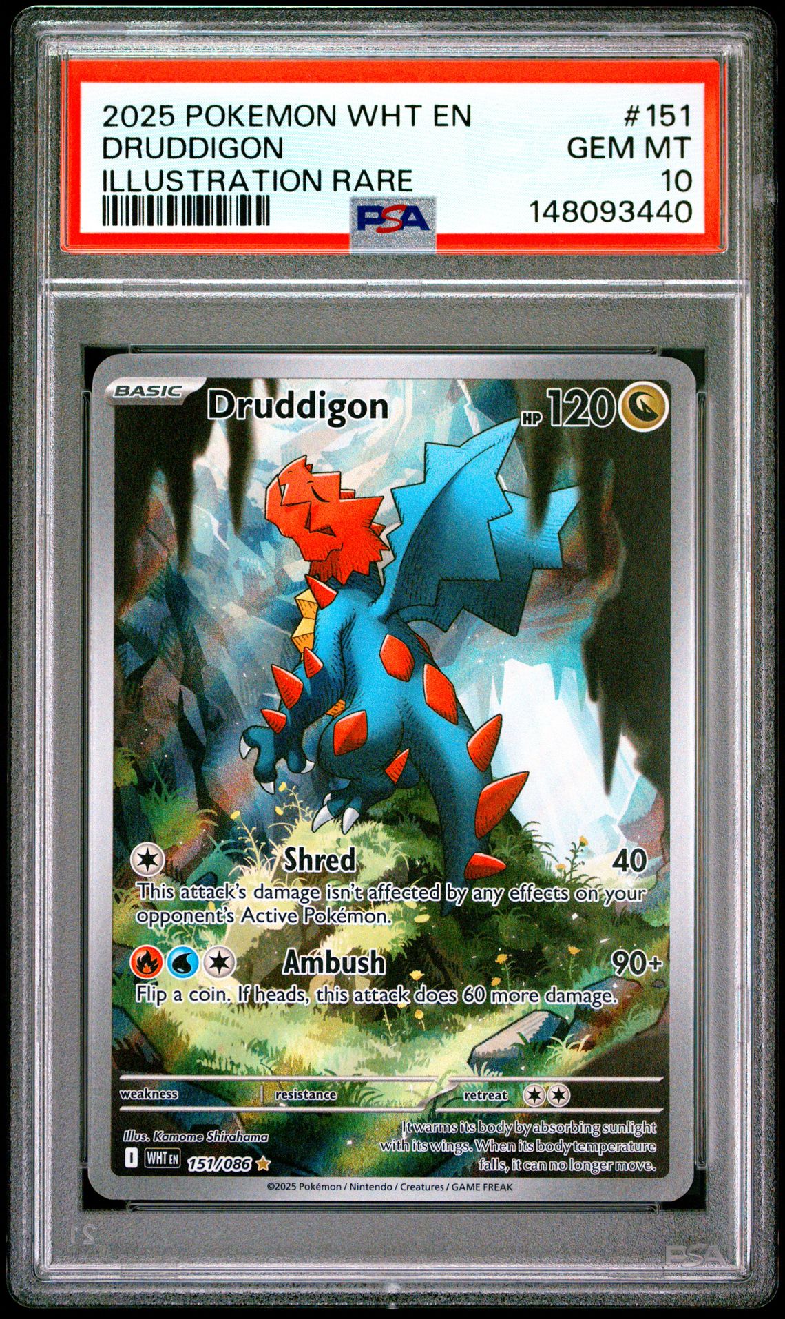 2025 Pokemon POKEMON WHT EN-WHITE FLARE ILLUSTRATION RARE #151 Druddigon front
