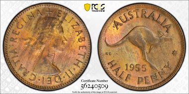 1955(p) 1/2D No Dot MS62BN