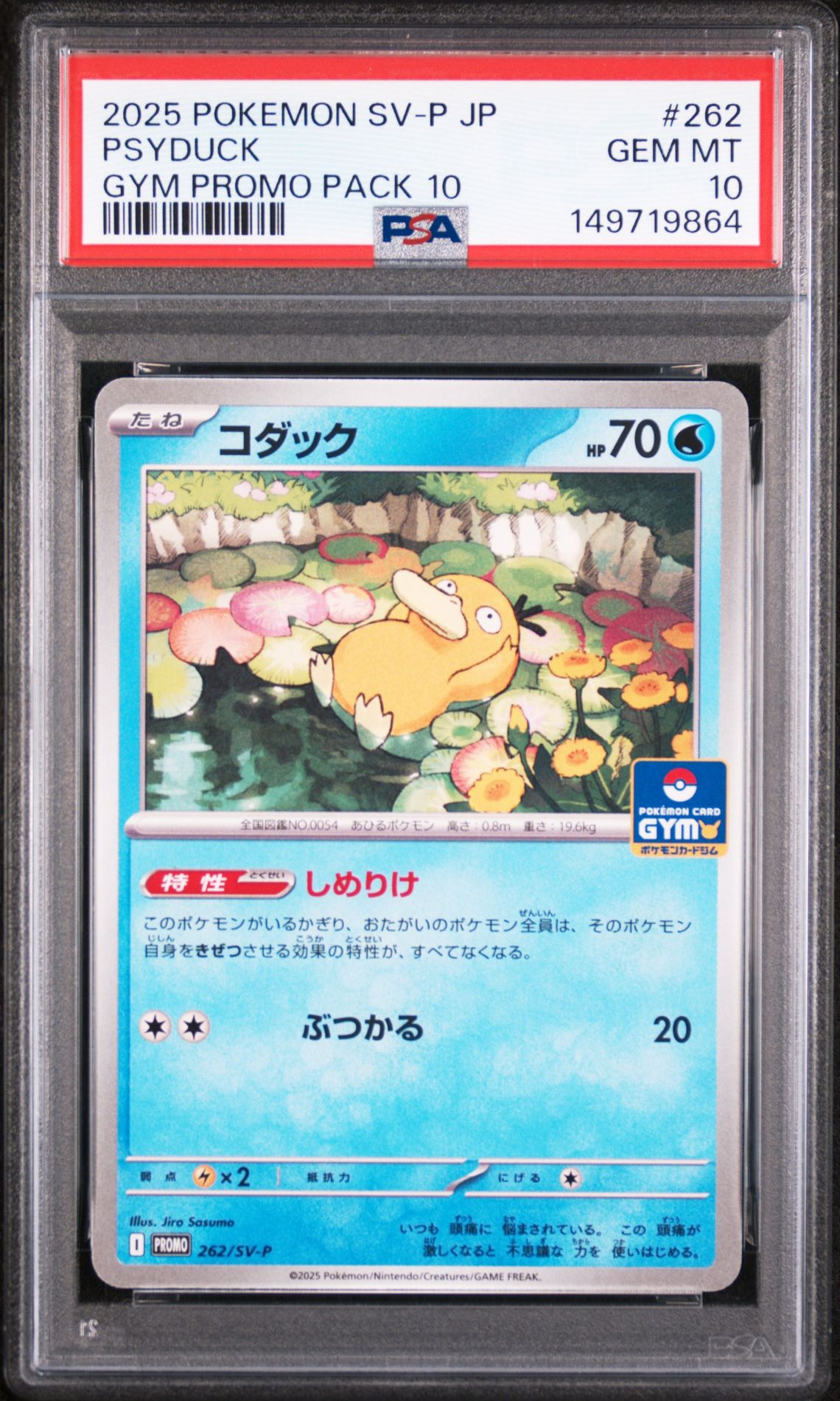 2025 Pokemon Japanese Sv-P Promo Psyduck #262 (Gym Promo Pack 10) Gem Mt 10 front