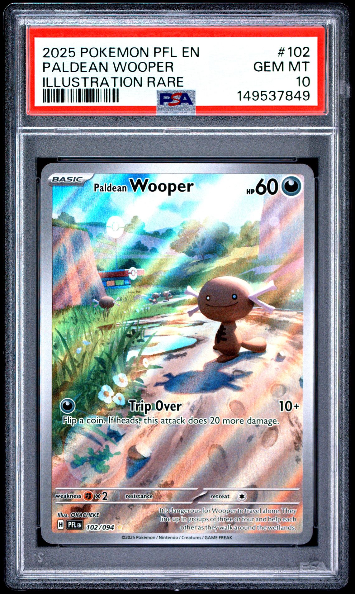 2025 Pokemon Pfl En-Phantasmal Flames Paldean Wooper #102 (Illustration Rare) Gem Mt 10 front view - PSA graded GEM MT 10