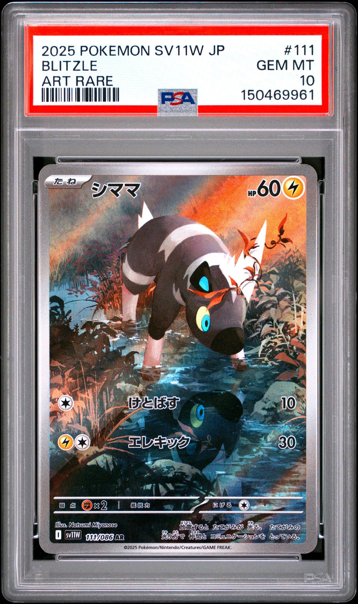 2025 Pokemon POKEMON JAPANESE SV11W-WHITE FLARE ART RARE #111 Blitzle front