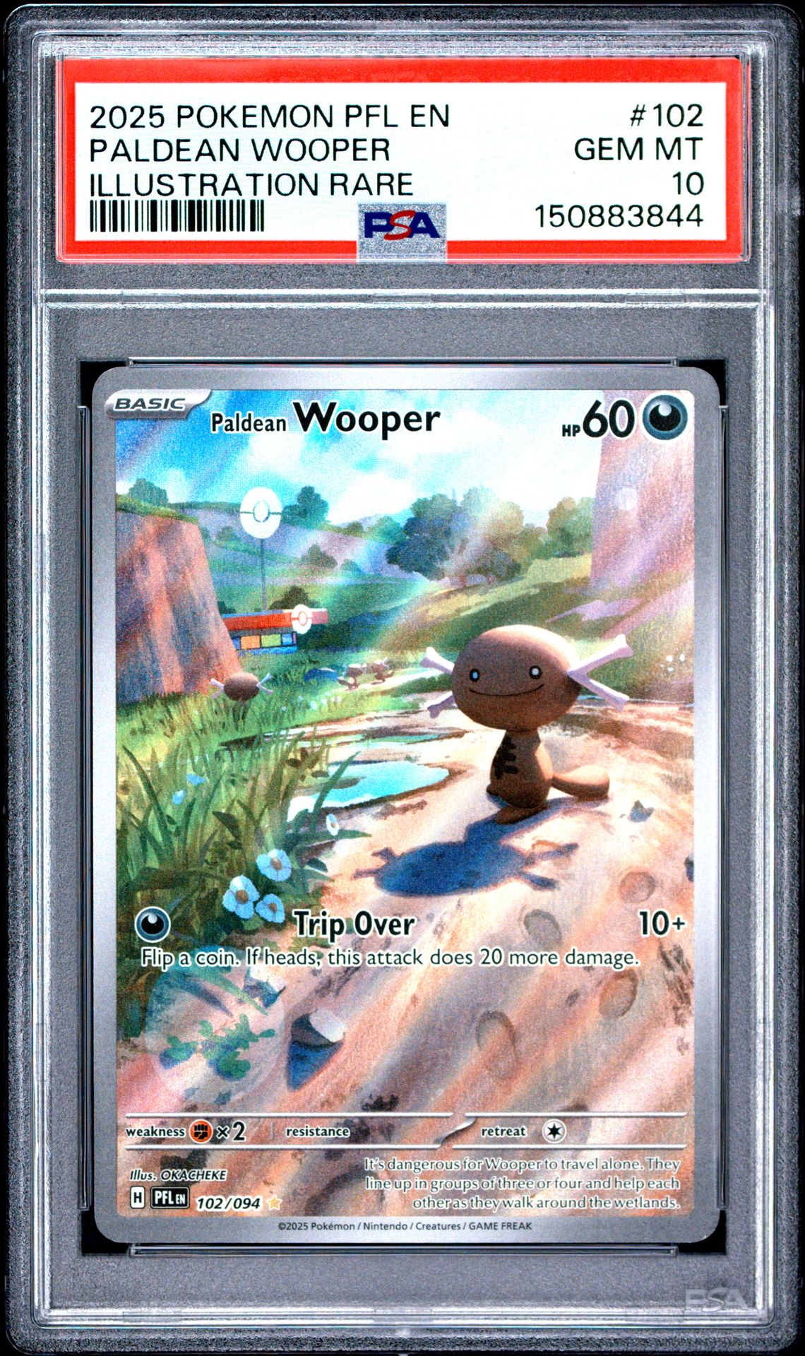 2025 Pokemon Pfl En-Phantasmal Flames Paldean Wooper #102 (Illustration Rare) Gem Mt 10 front view - PSA graded GEM MT 10