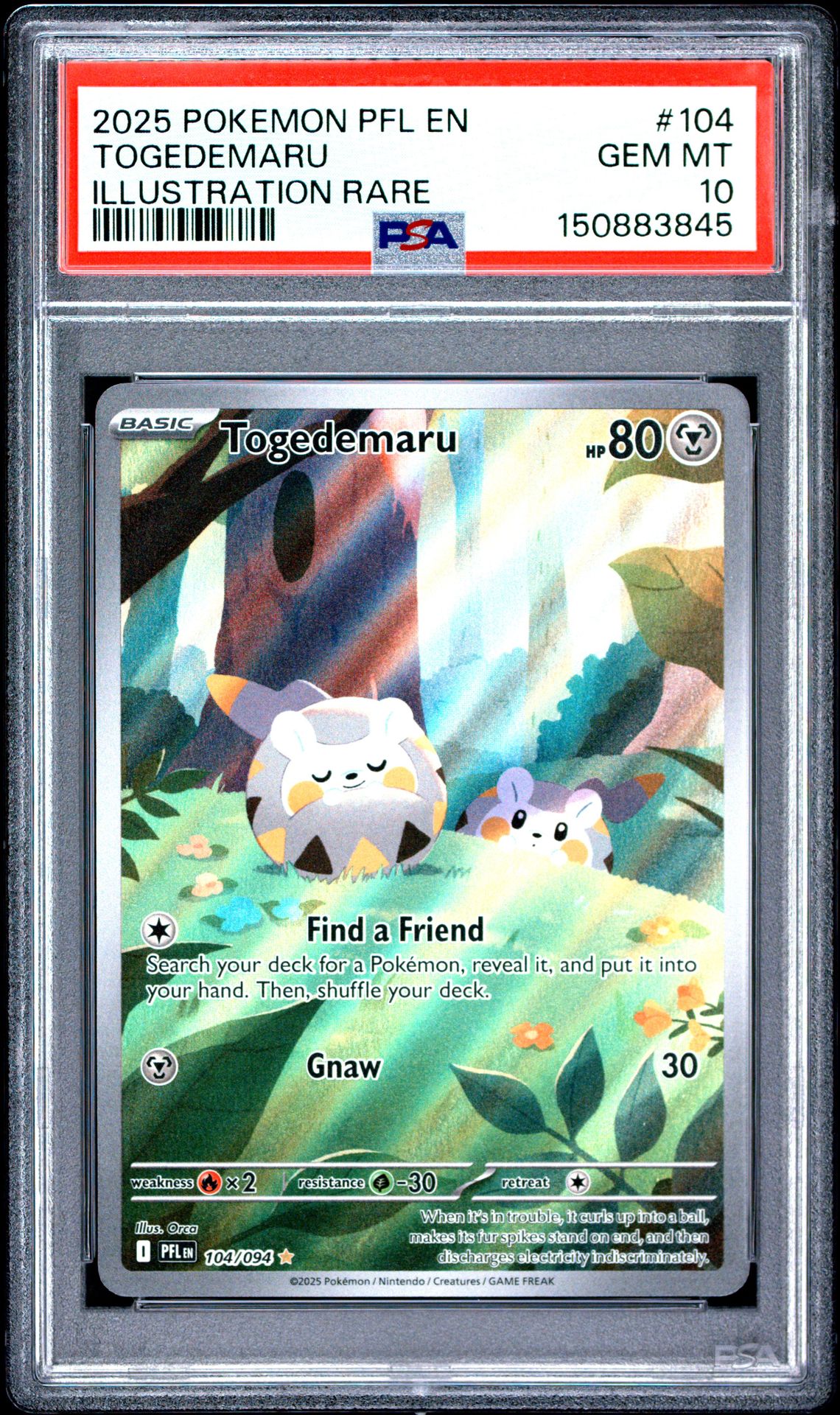 2025 Pokemon Pfl En-Phantasmal Flames Togedemaru #104 (Illustration Rare) Gem Mt 10 front