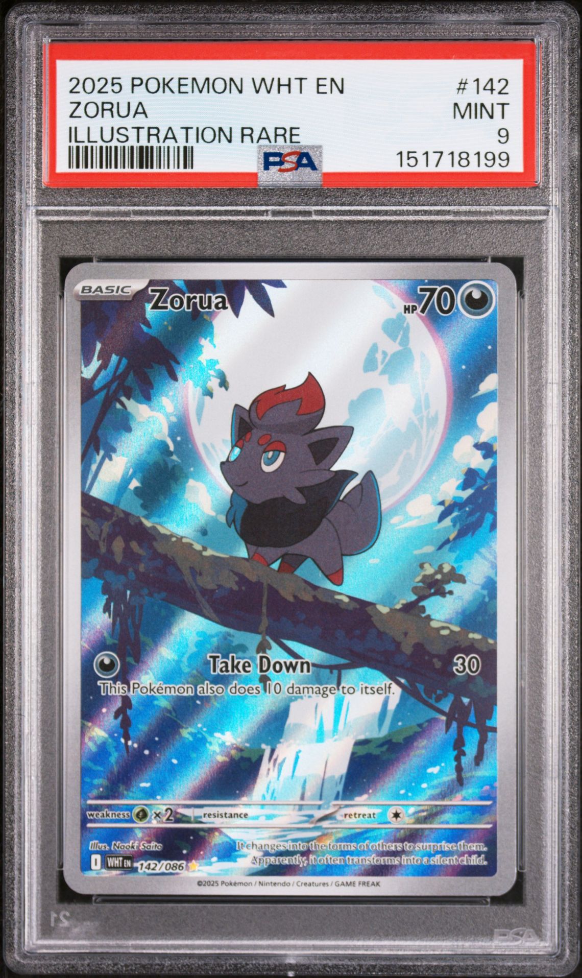 2025 Pokemon POKEMON WHT EN-WHITE FLARE ILLUSTRATION RARE #142 Zorua front
