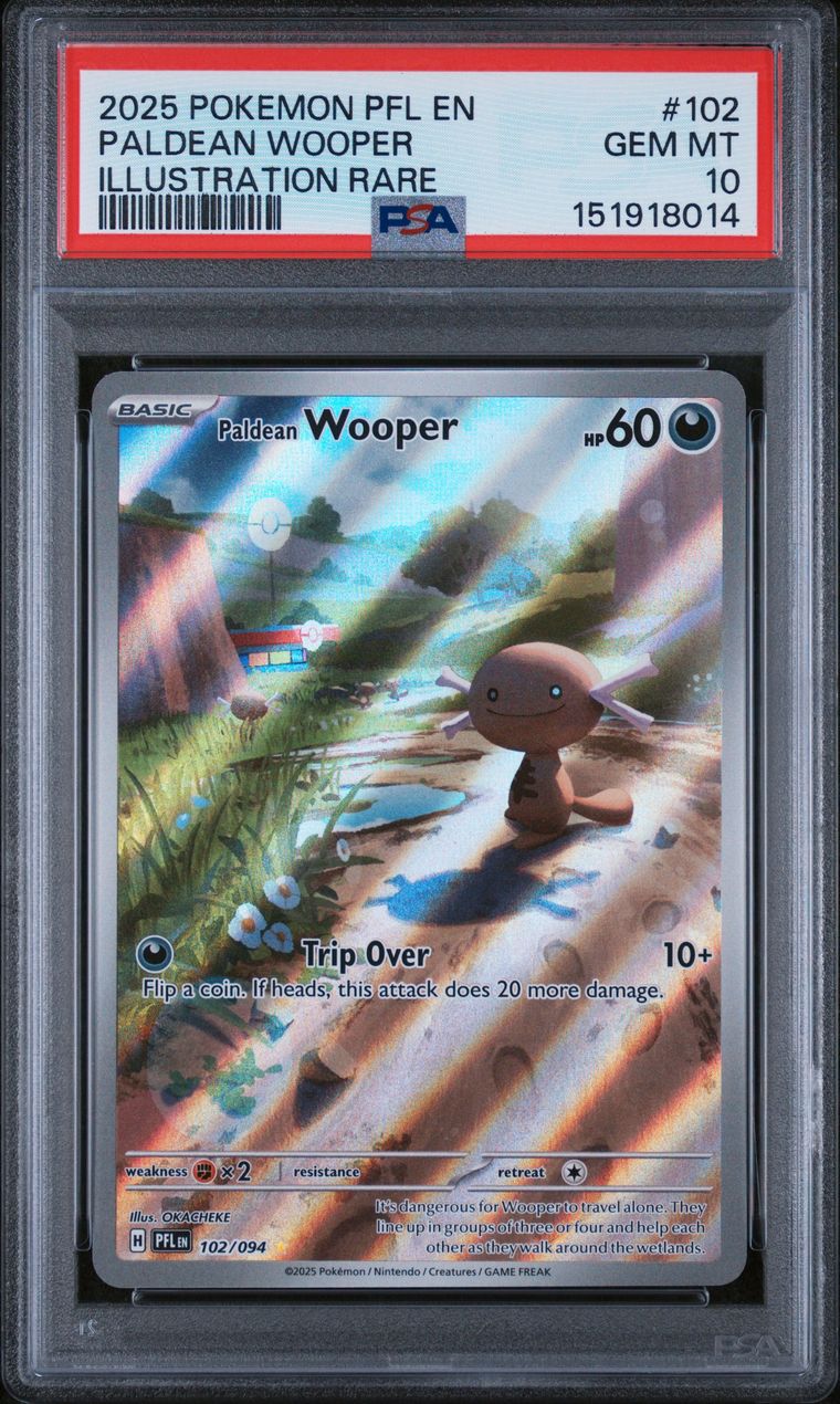 Graded Cards