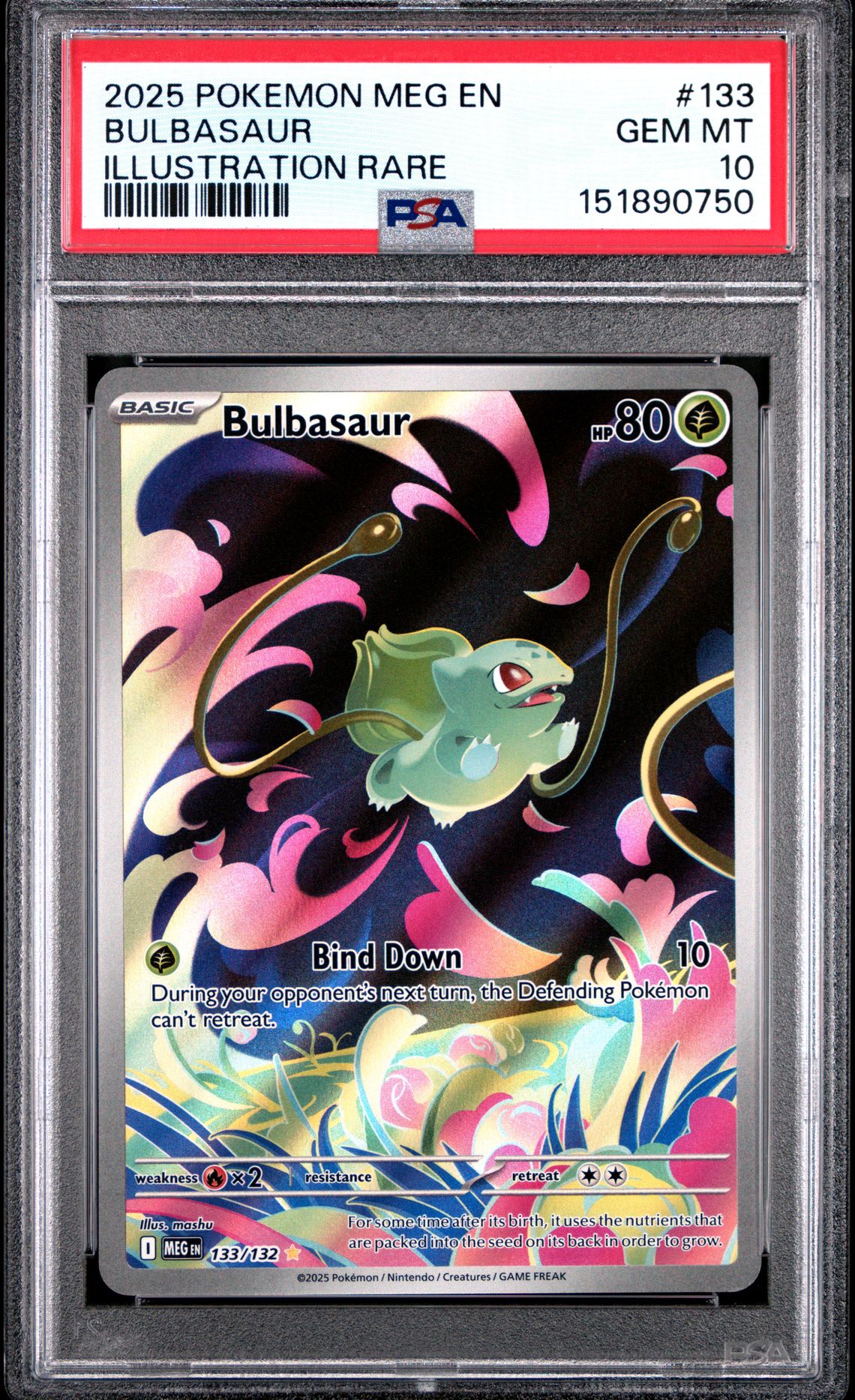 2025 Pokemon Meg En-Mega Evolution Bulbasaur #133 (Illustration Rare) Gem Mt 10 front