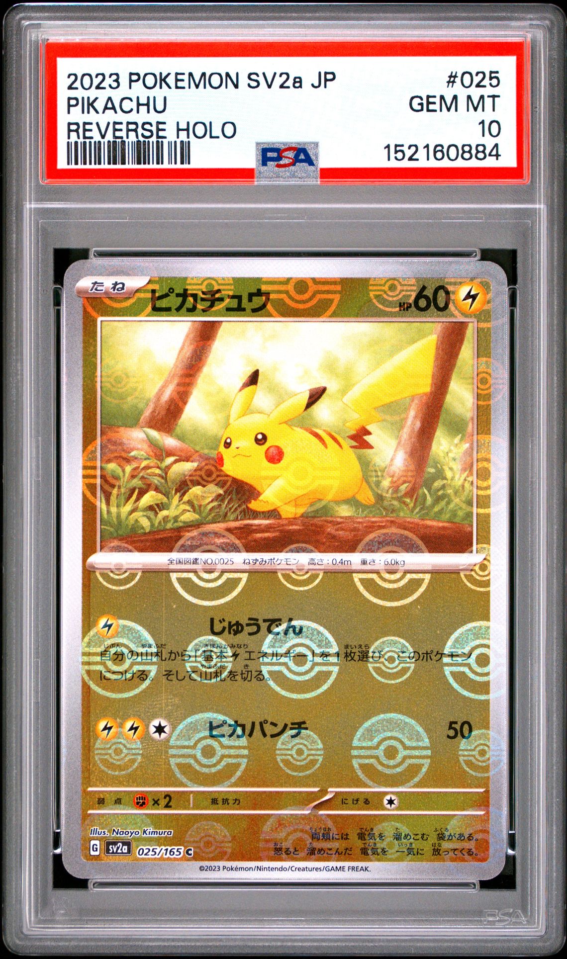2023 Pokemon Japanese Sv2A-Pokemon 151 Pikachu #025 (Reverse Holo) Gem Mt 10 front