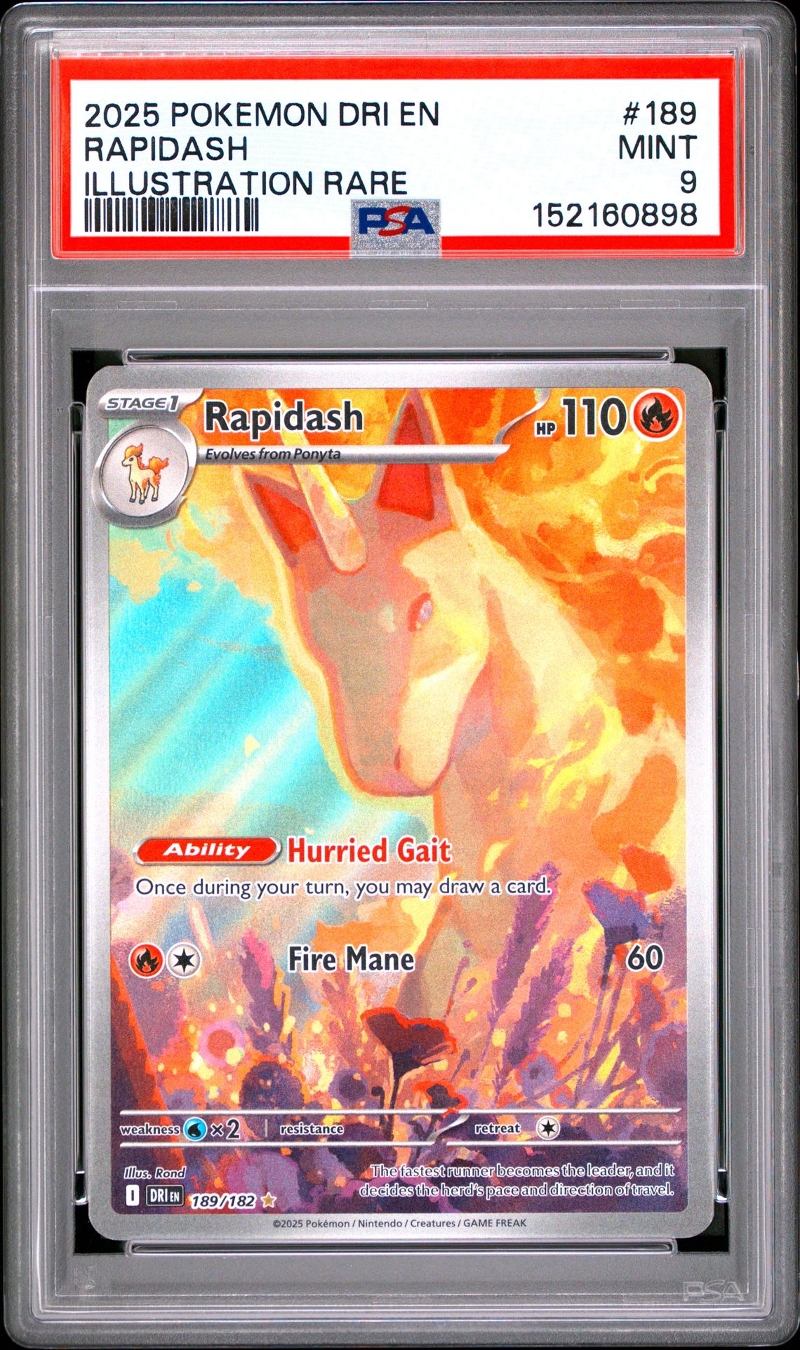 2025 Pokemon Dri En-Destined Rivals Rapidash #189 (Illustration Rare) Mint 9 front