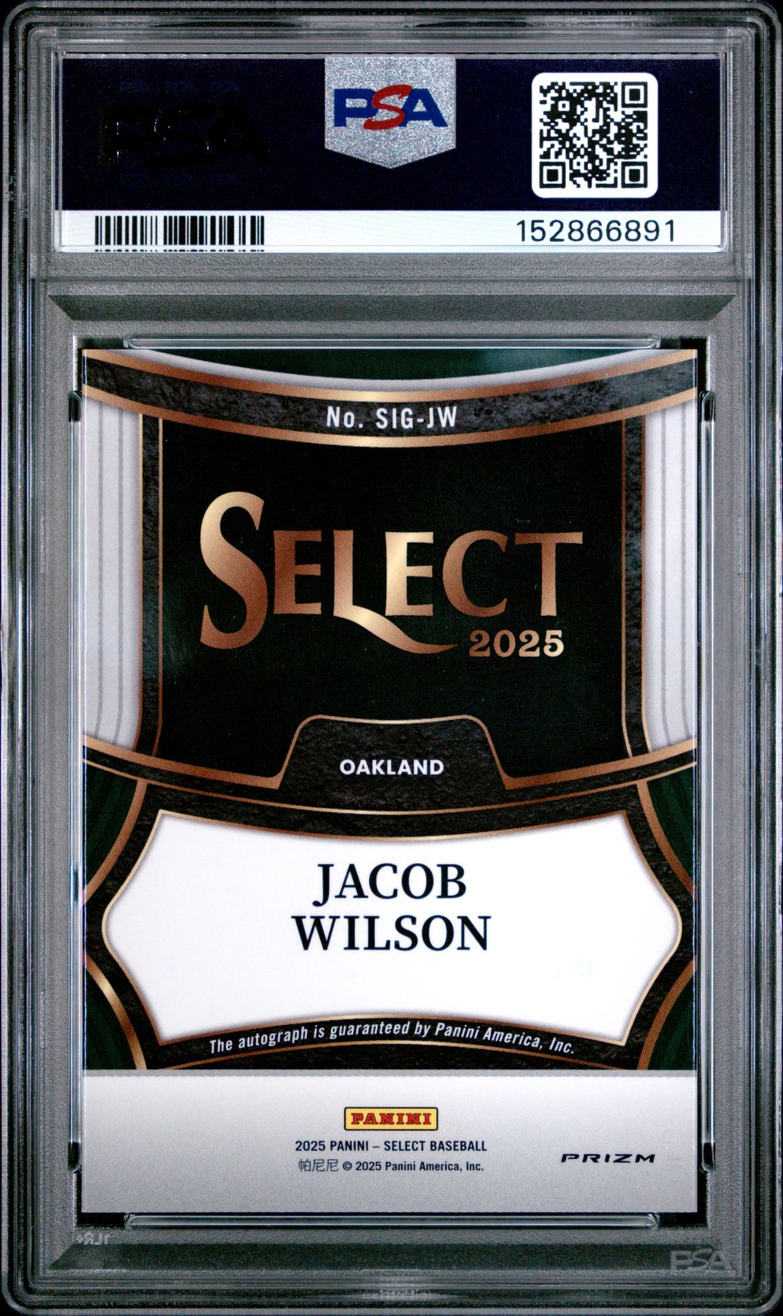 2025 Panini Select Signatures Jacob Wilson #Sig-Jw (Signatures) Gem Mt 10 back
