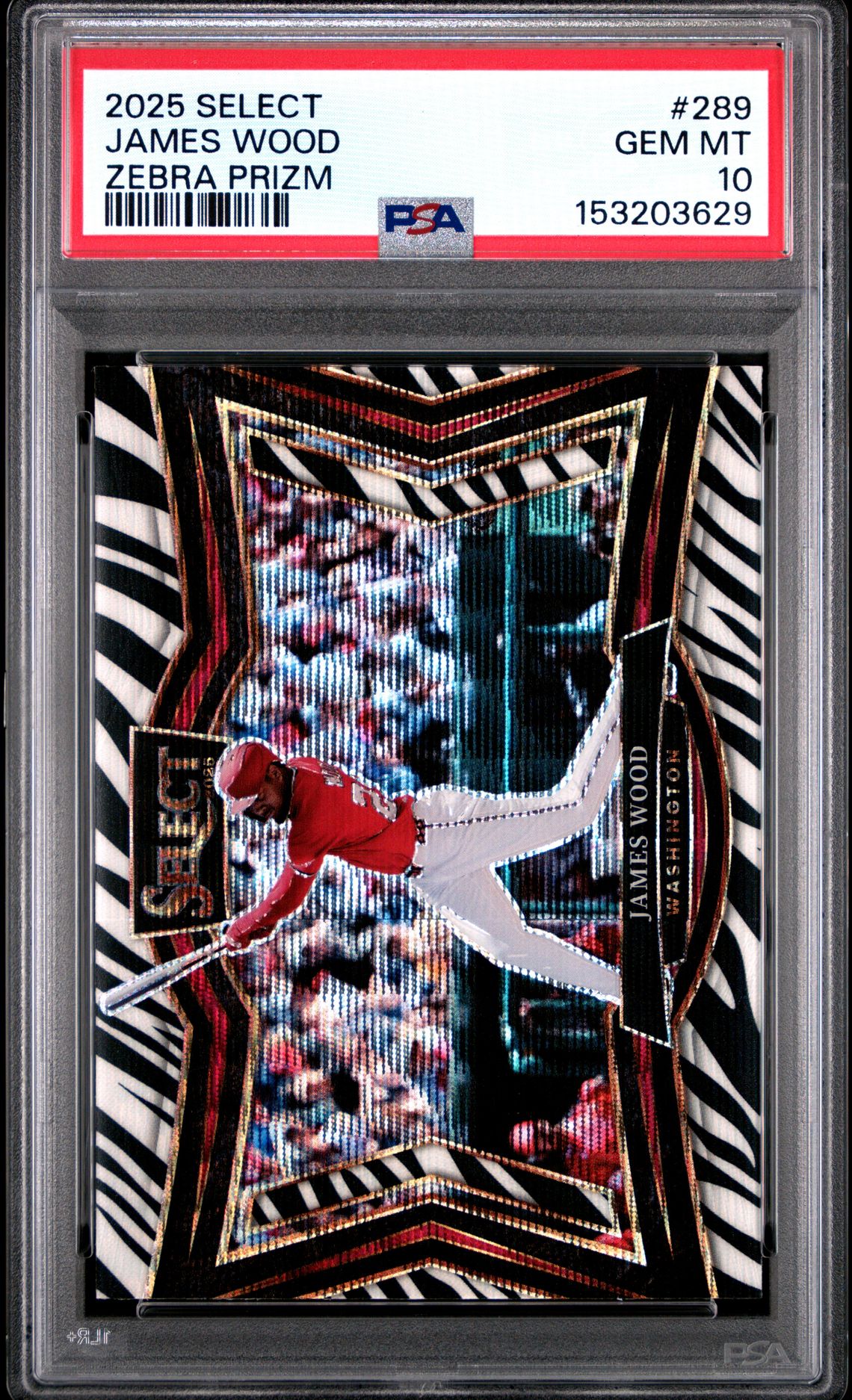 2025 Panini Select James Wood #289 (Zebra Prizm) Gem Mt 10 front