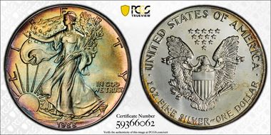 1988 $1 Silver Eagle MS67