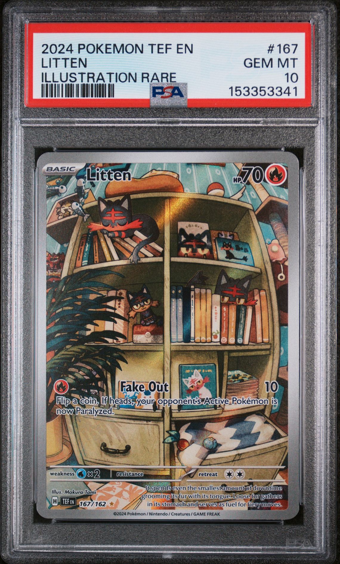 2024 Pokemon POKEMON TEF EN-TEMPORAL FORCES ILLUSTRATION RARE #167 Litten front