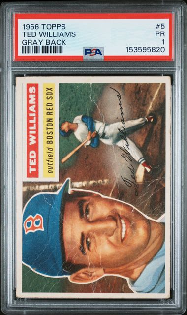 1956 Topps TOPPS GRAY BACK #5 Ted Williams front
