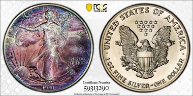 1991 $1 Silver Eagle MS66