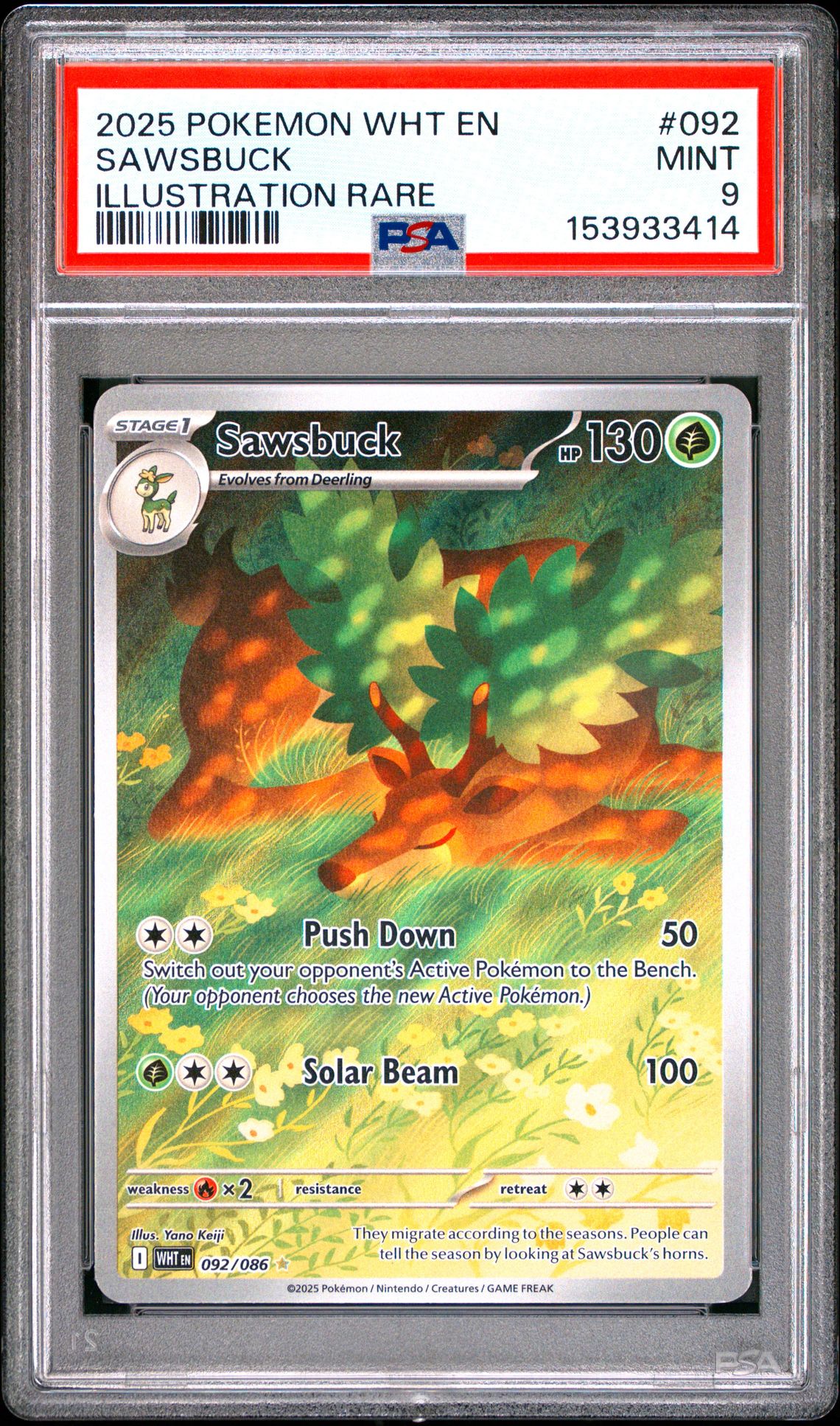 2025 Pokemon Wht En-White Flare Sawsbuck #092 (Illustration Rare) Mint 9 front